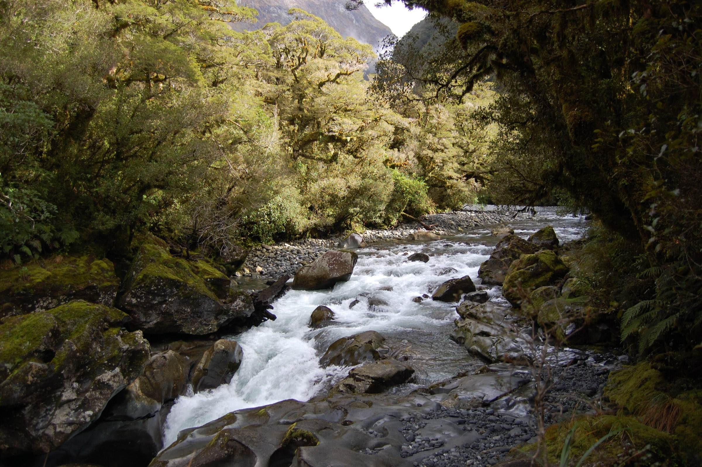 Le Chasm sur la rivière Cleddau, parc national de Fiordland