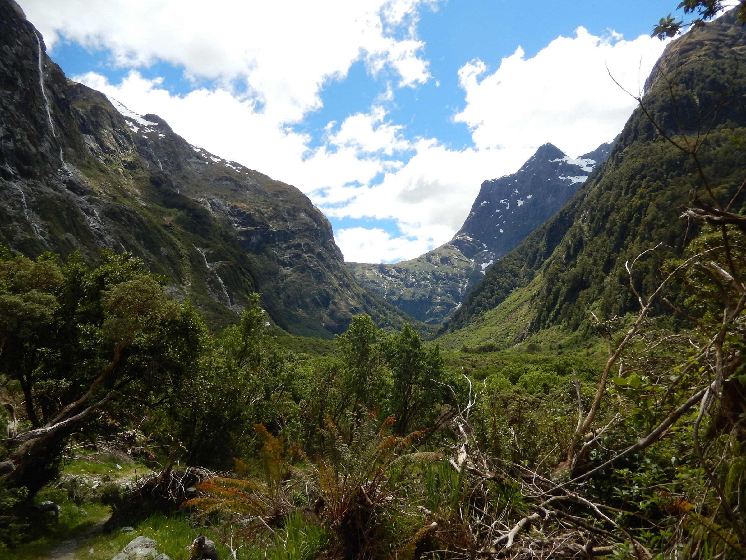 Mackinnon Pass on the Milford Track, seen from near the St Quintin Falls