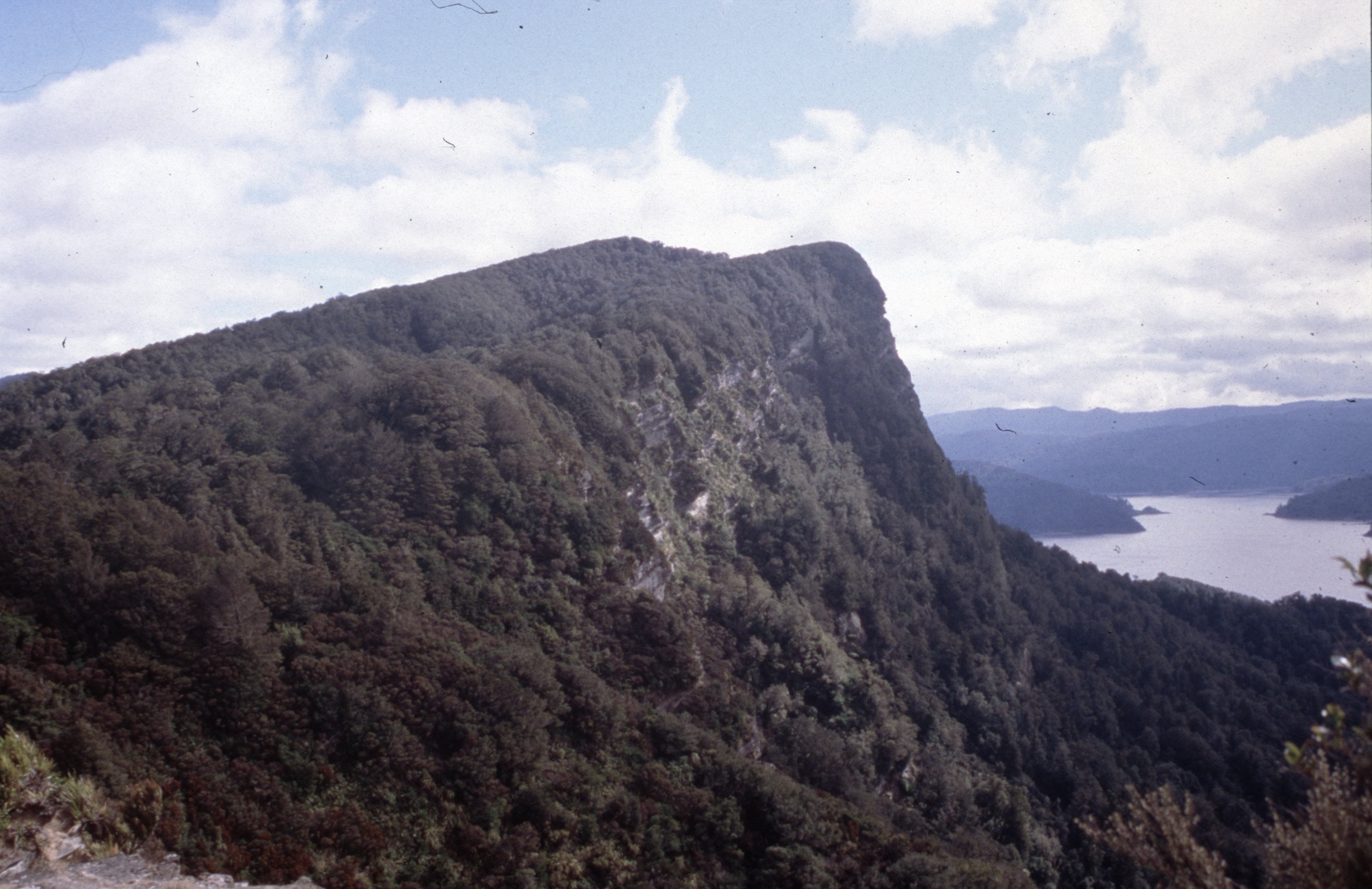 Falaises de Panekire au-dessus du lac Waikaremoana depuis la crête de la Great Walk d'Onepoto