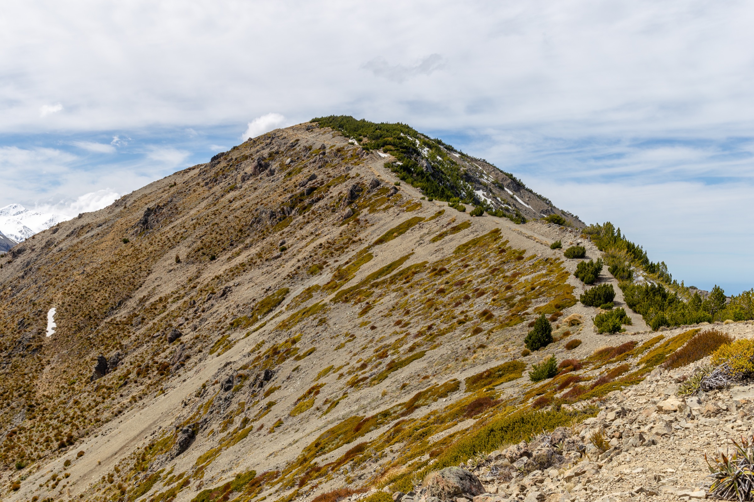 New Zealand — Mount Fyffe Area: essential day-hikes
