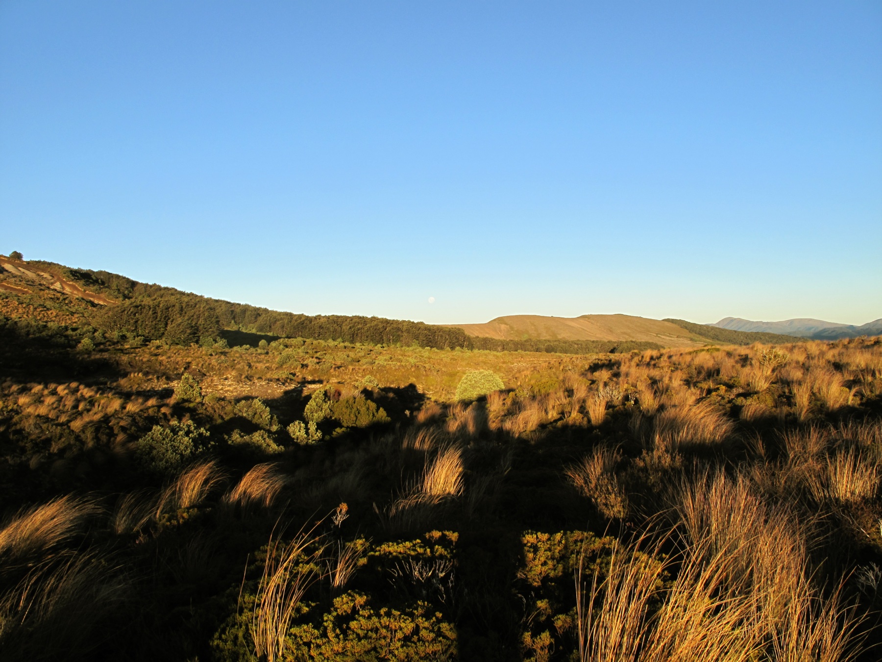 Coucher de soleil sur la Kaimanawa Range