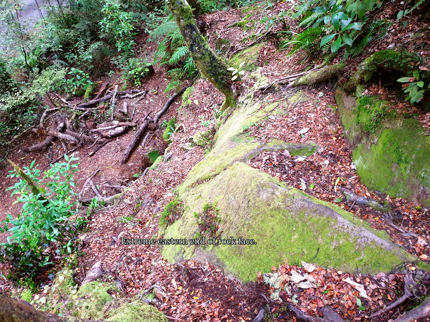 Extrémité est de la formation rocheuse du Kaimanawa Wall sur Clements Mill Road
