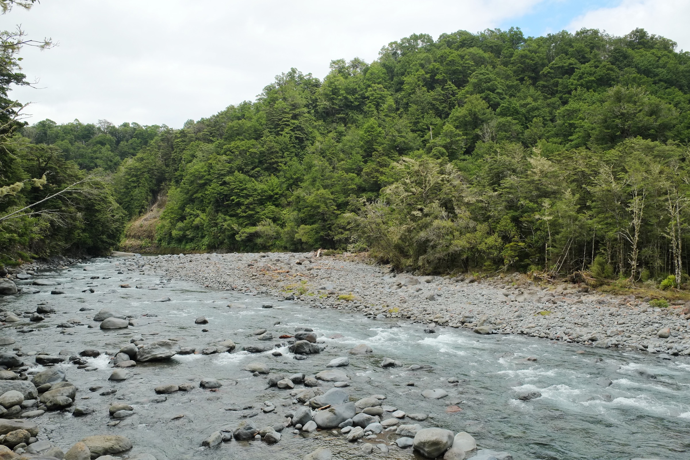 The Tongariro River seen from the Tree Trunk Gorge area, looking upstream toward Tongariro National Park