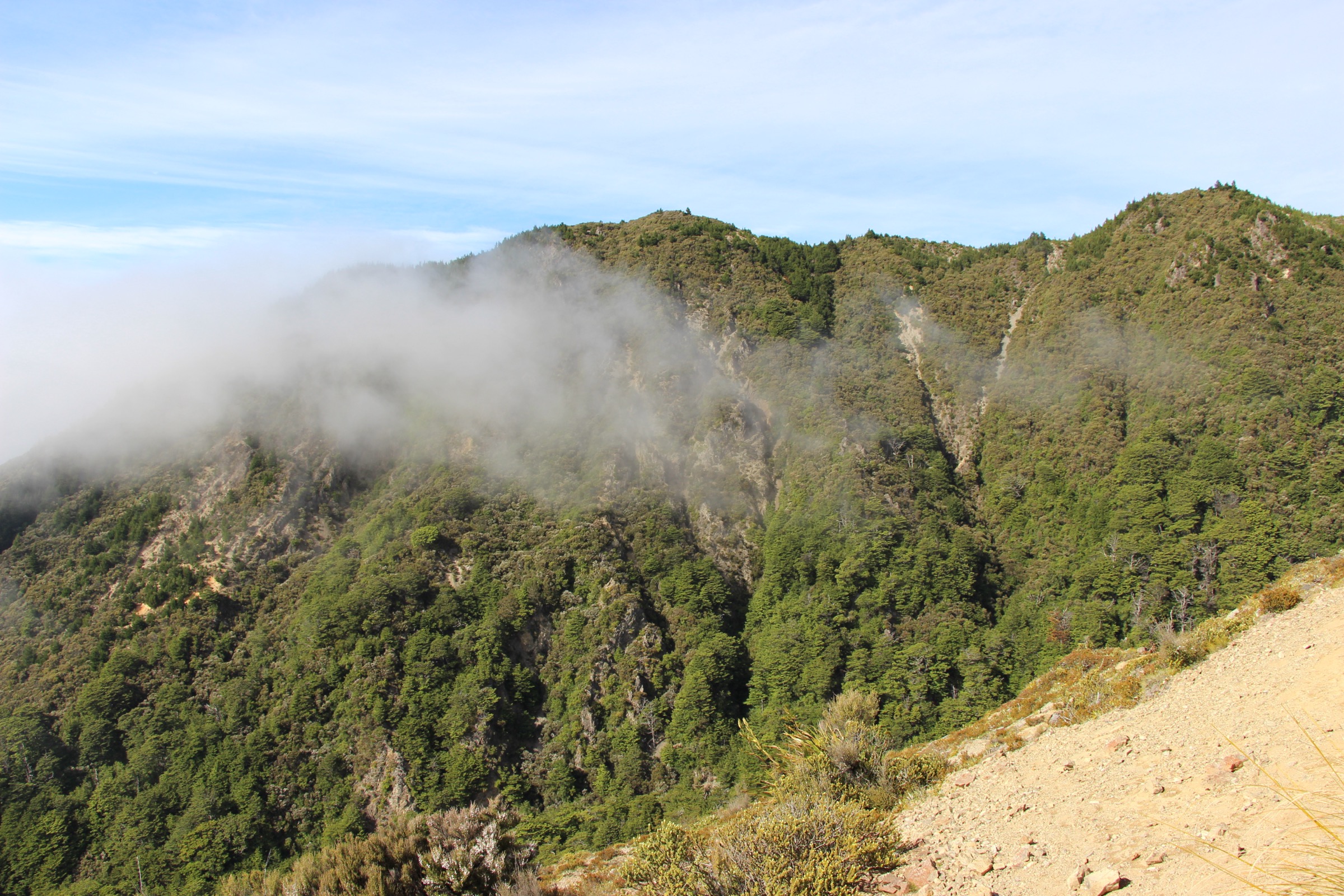 Makahu Spur ascending toward the Kaweka tops, New Zealand