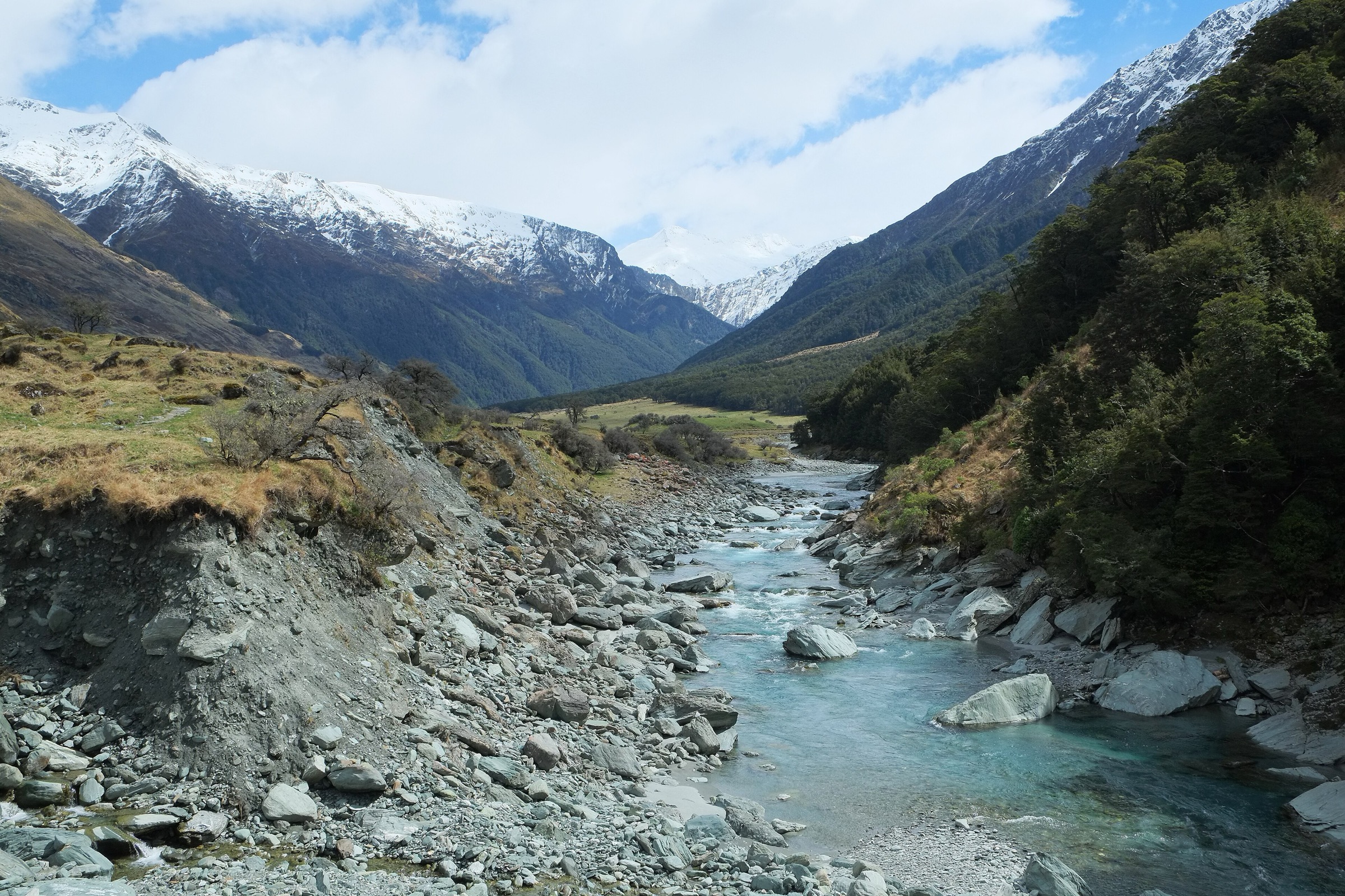 La West Matukituki vue en amont depuis la passerelle, avec les versants boisés de hêtres
