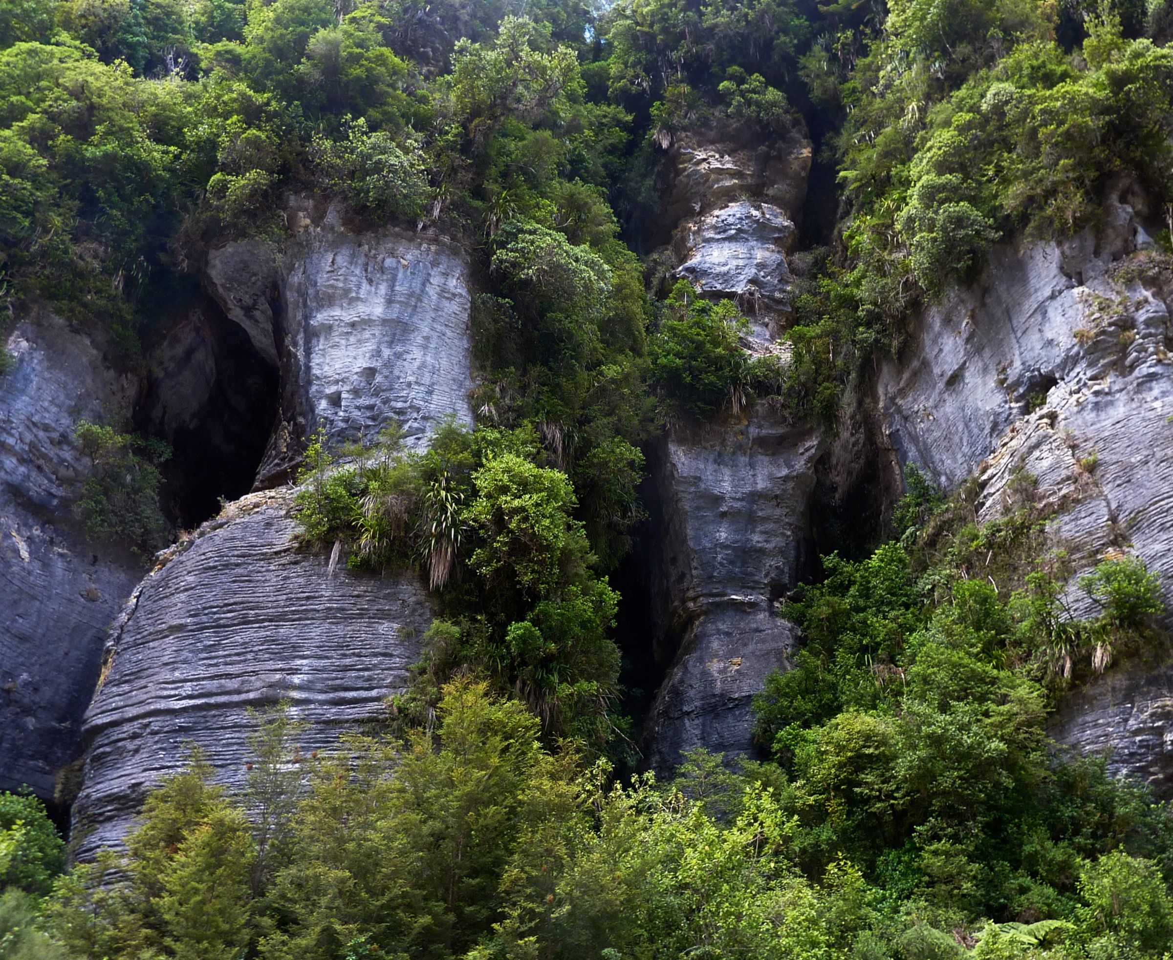 Limestone cliffs along the Fox River, Paparoa National Park, New Zealand