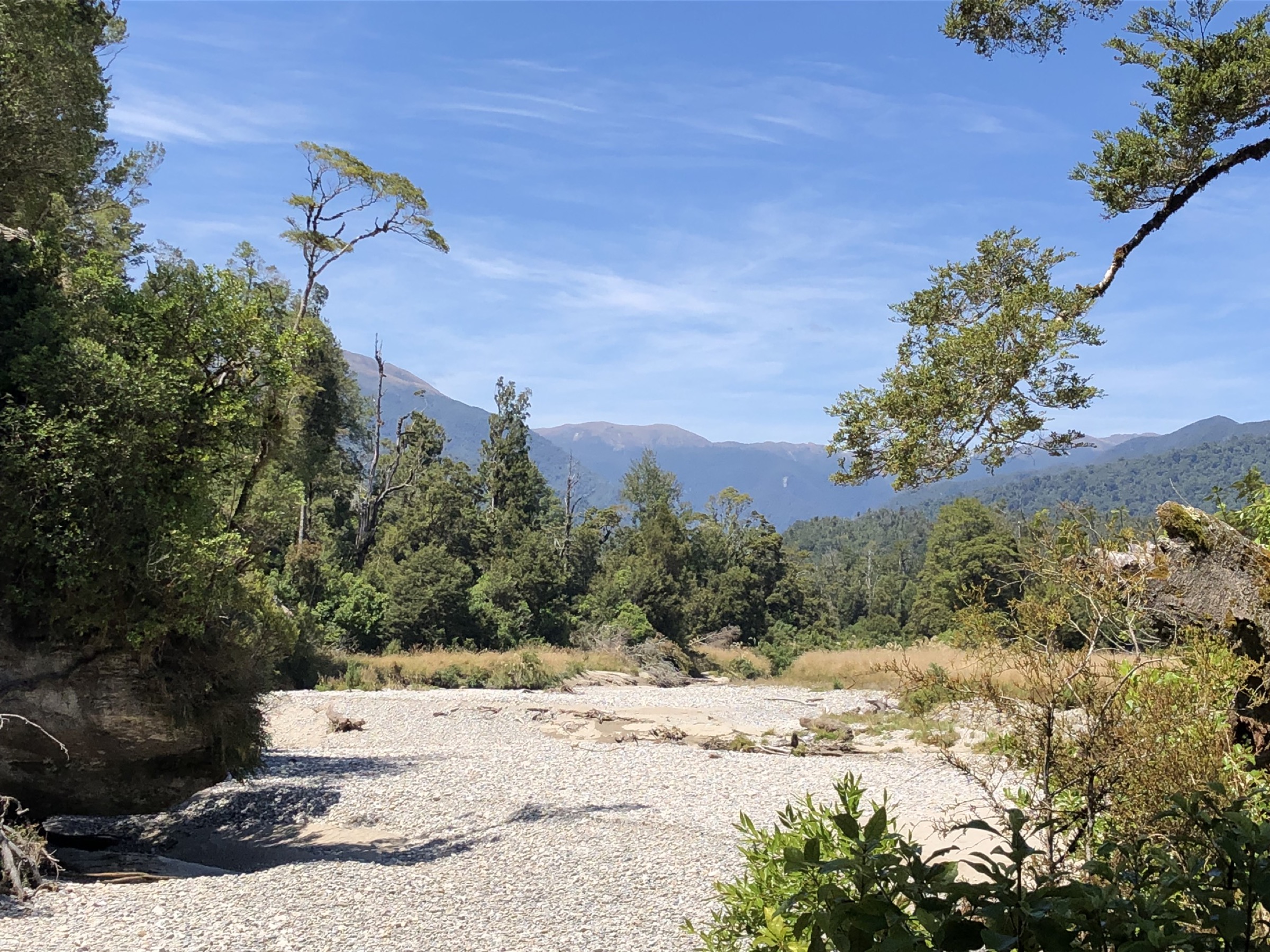 Bullock Creek, Paparoa National Park, New Zealand