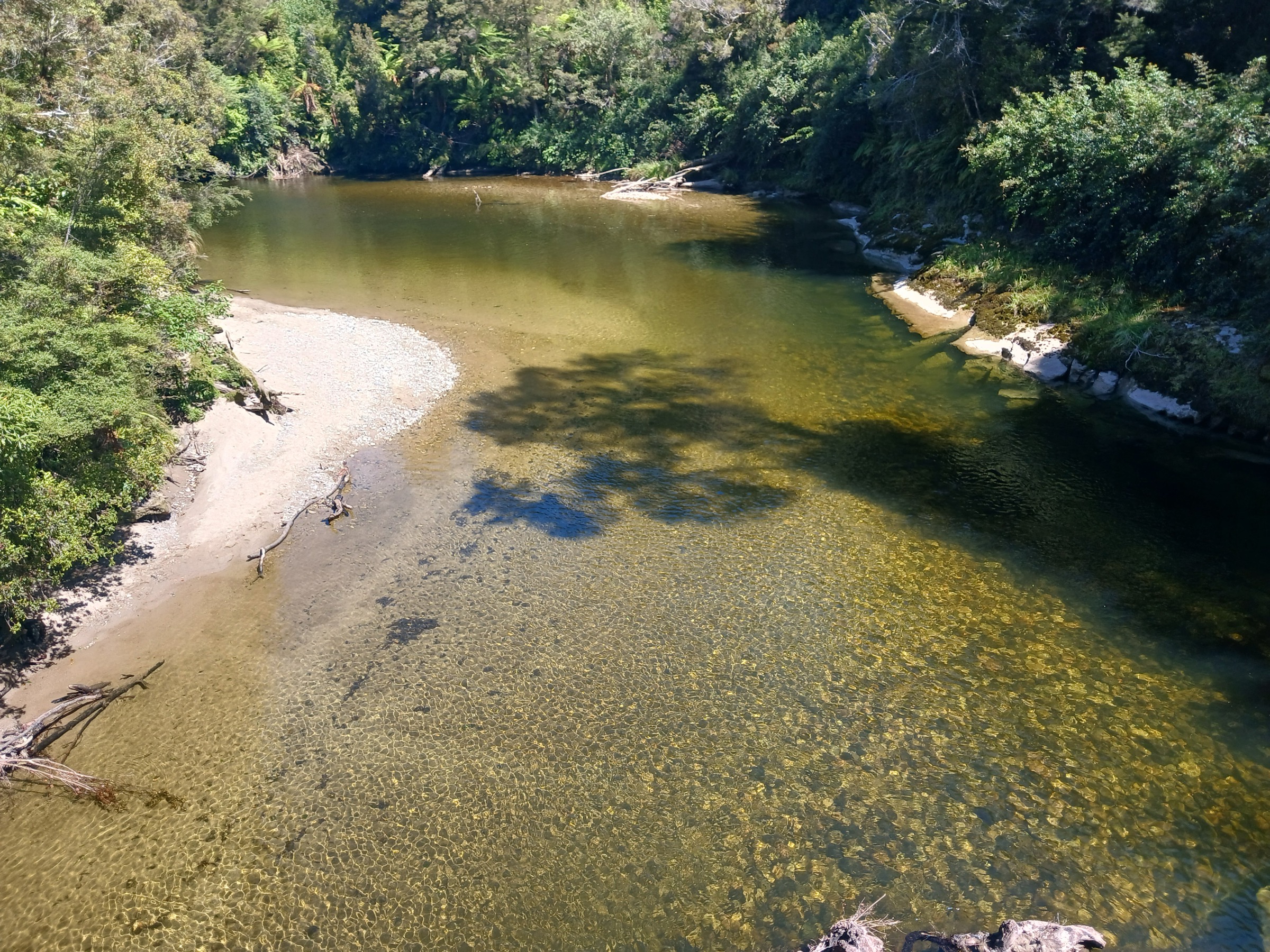 New Zealand — Inland Paparoa: essential day-hikes