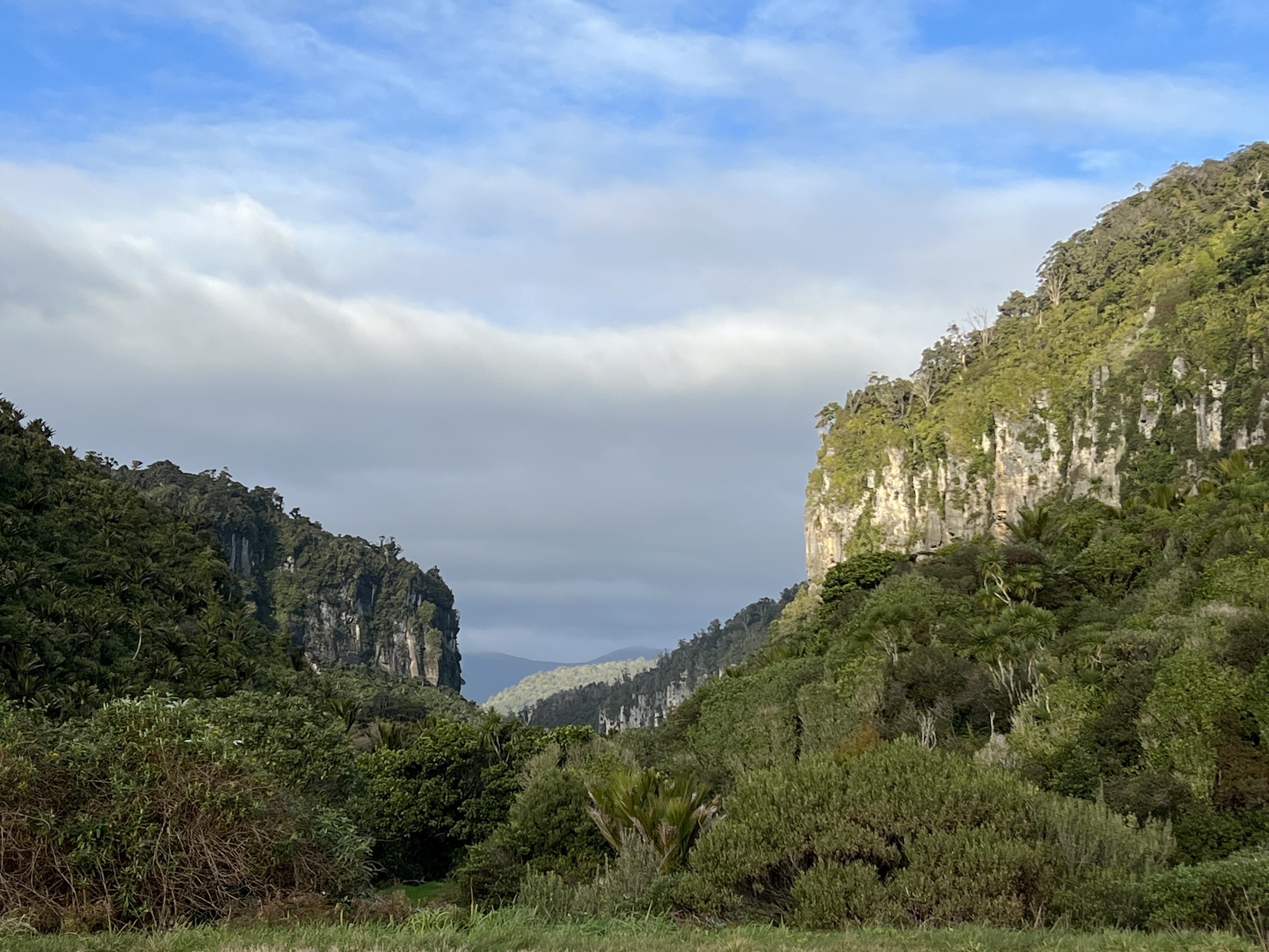 Pororari River Gorge near Punakaiki, Paparoa National Park, New Zealand