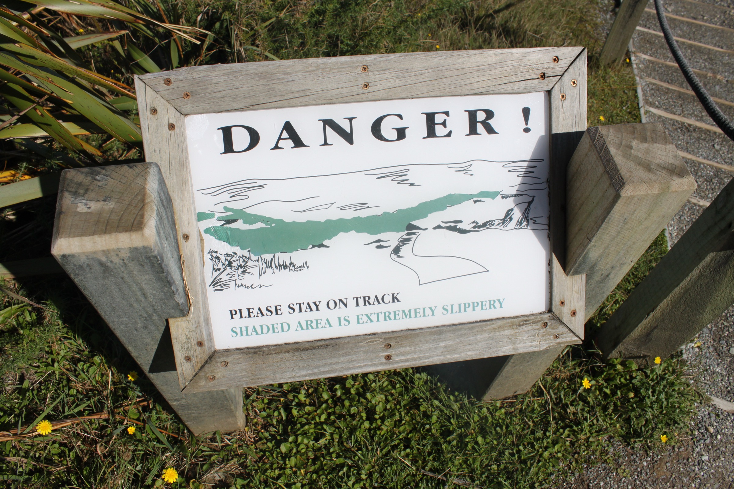 Truman Track coastal forest and cliffs, Paparoa National Park, New Zealand