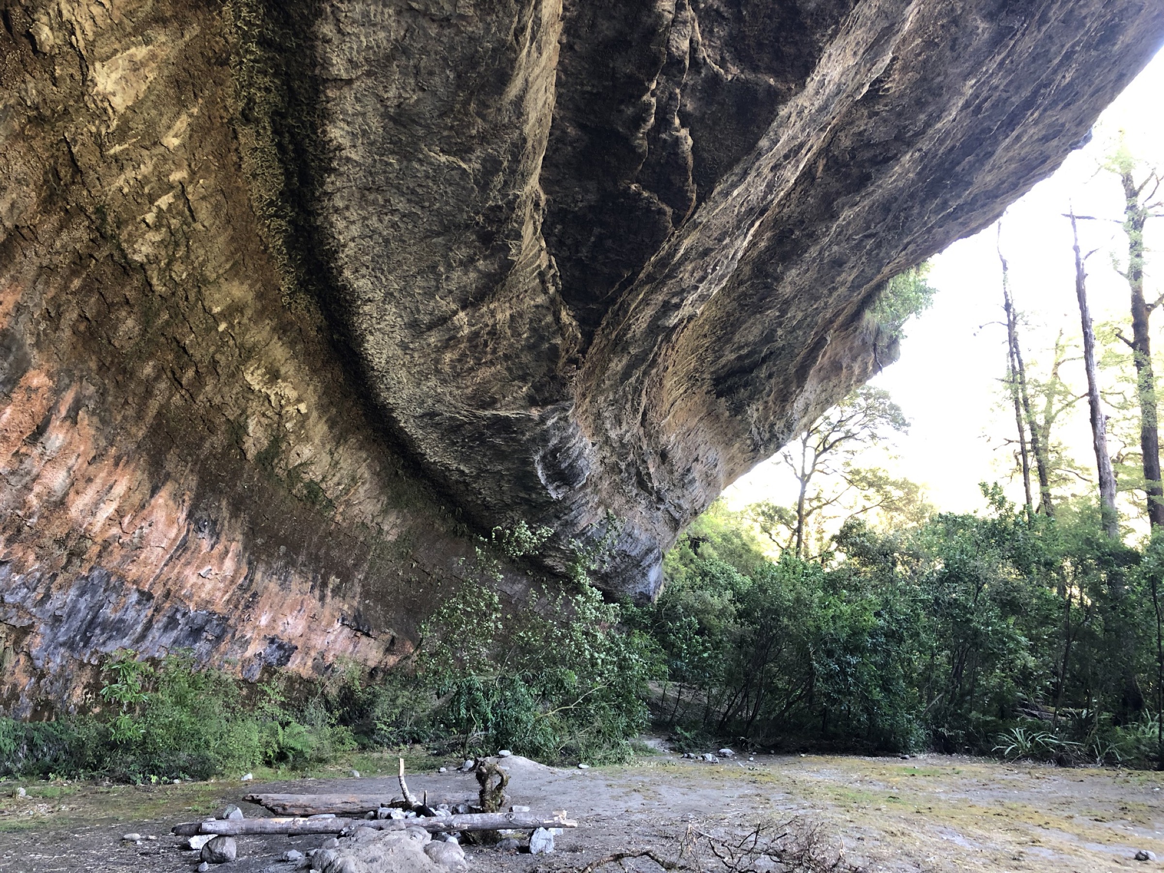 Ballroom Overhang limestone shelter above the Fox River, Paparoa National Park, New Zealand