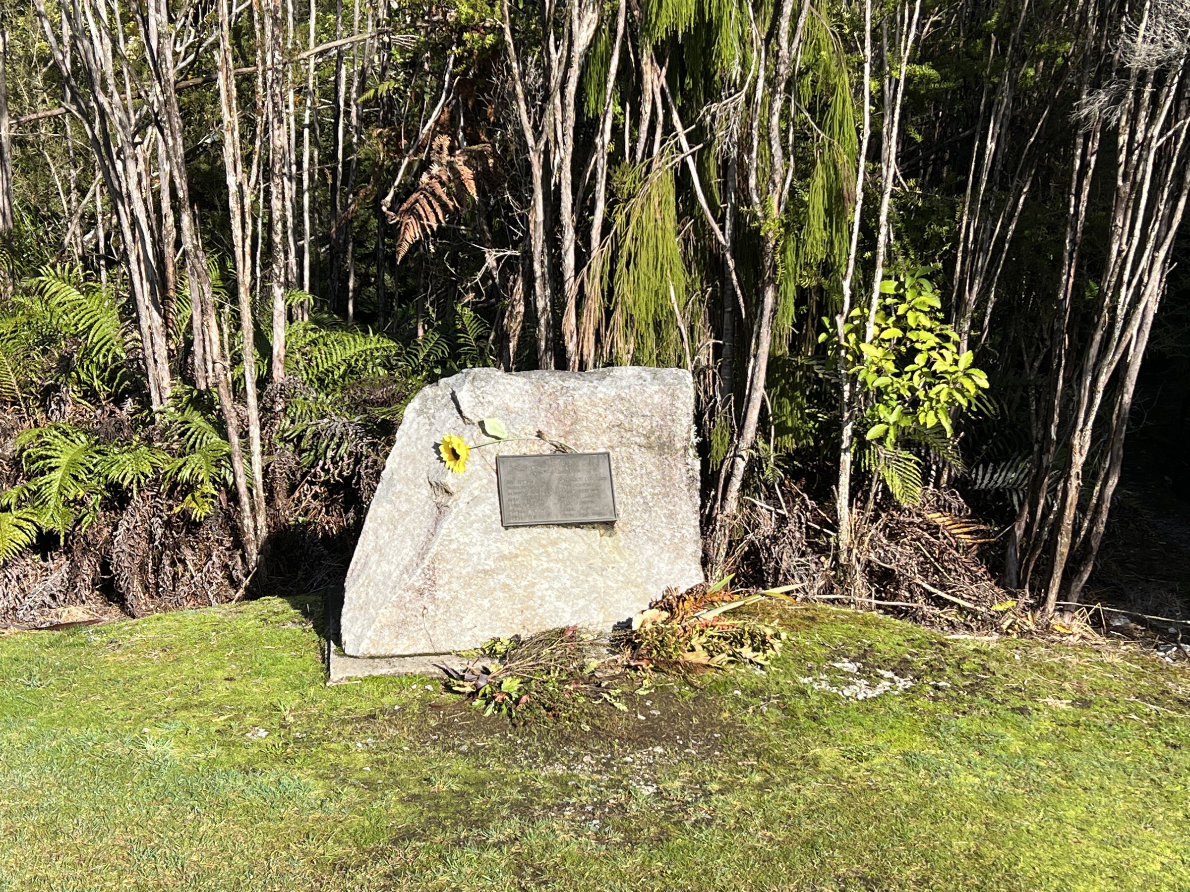 Cave Creek Memorial Track approach, Paparoa National Park, New Zealand