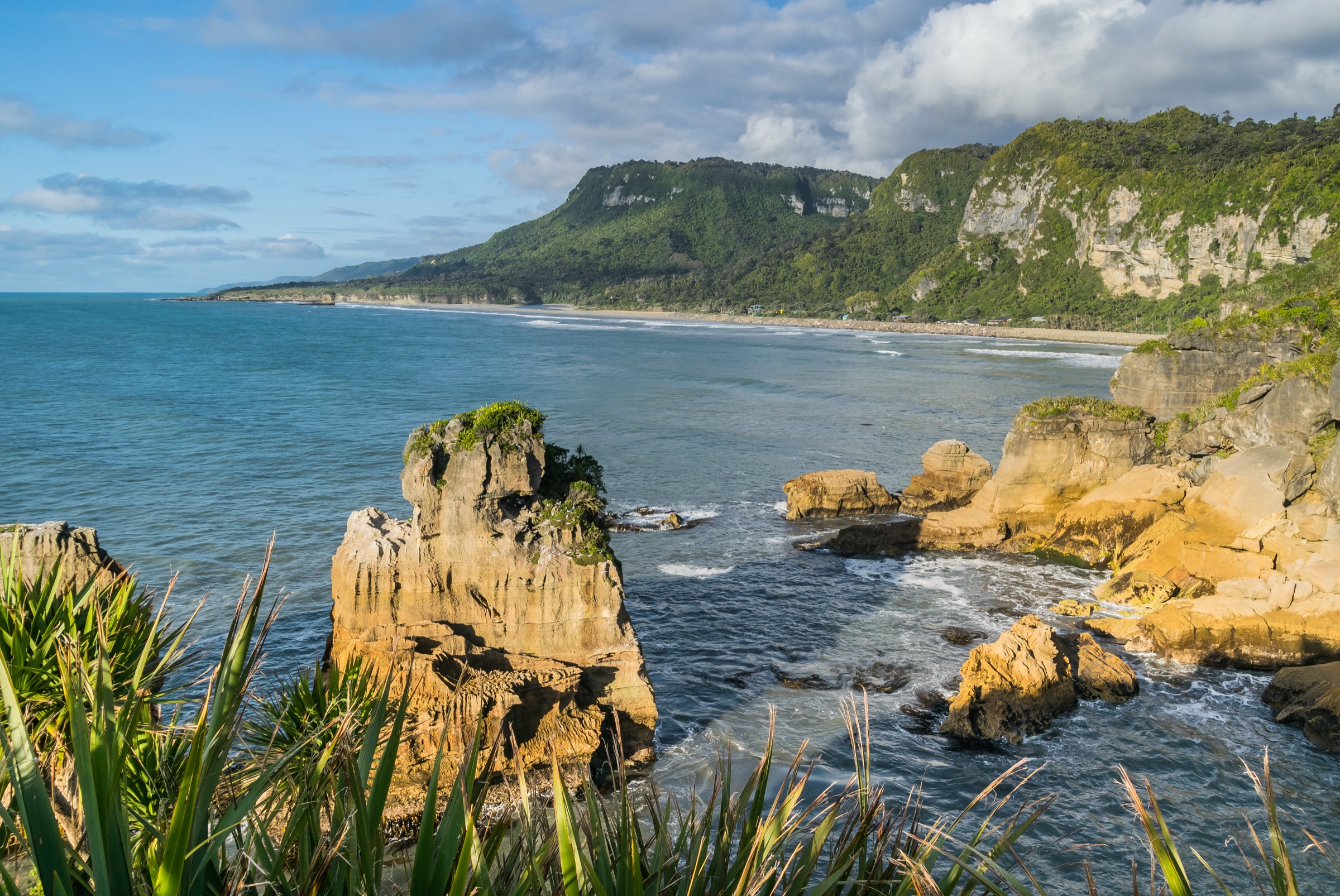 New Zealand — Punakaiki Coast: essential day-hikes