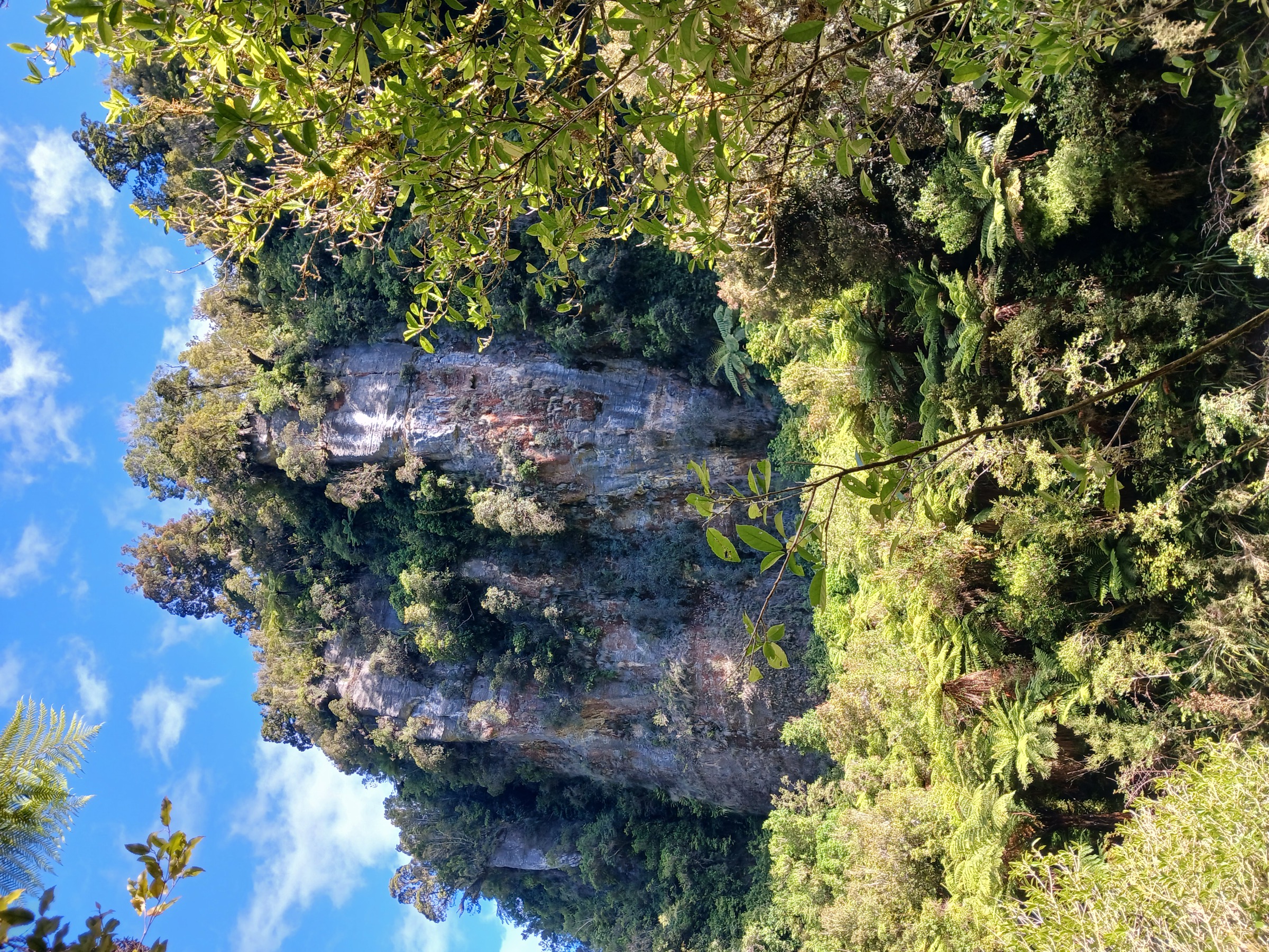 Pororari River Gorge in Paparoa National Park, West Coast, New Zealand