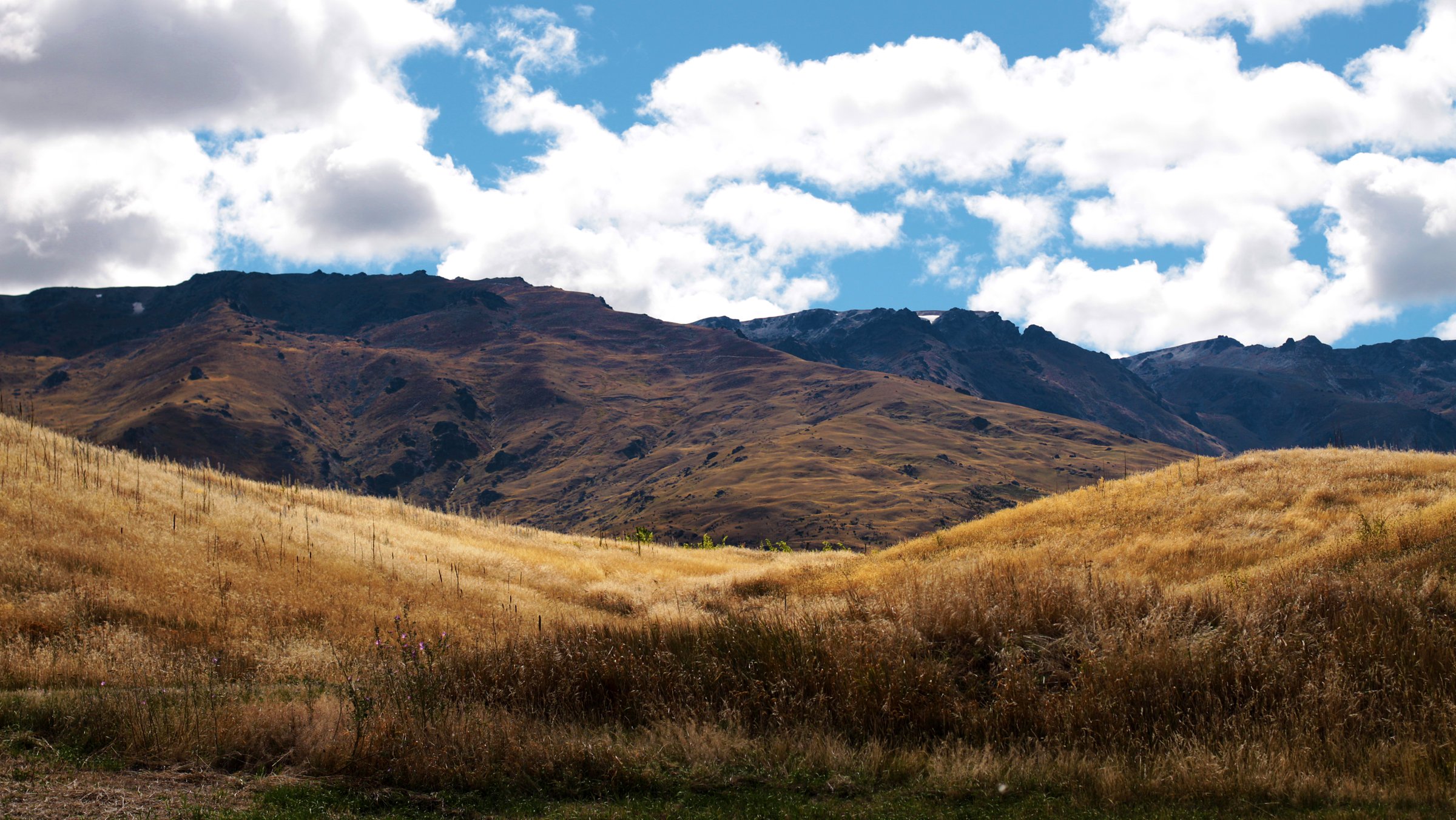 New Zealand — Pisa Range: Central Pisa Range
