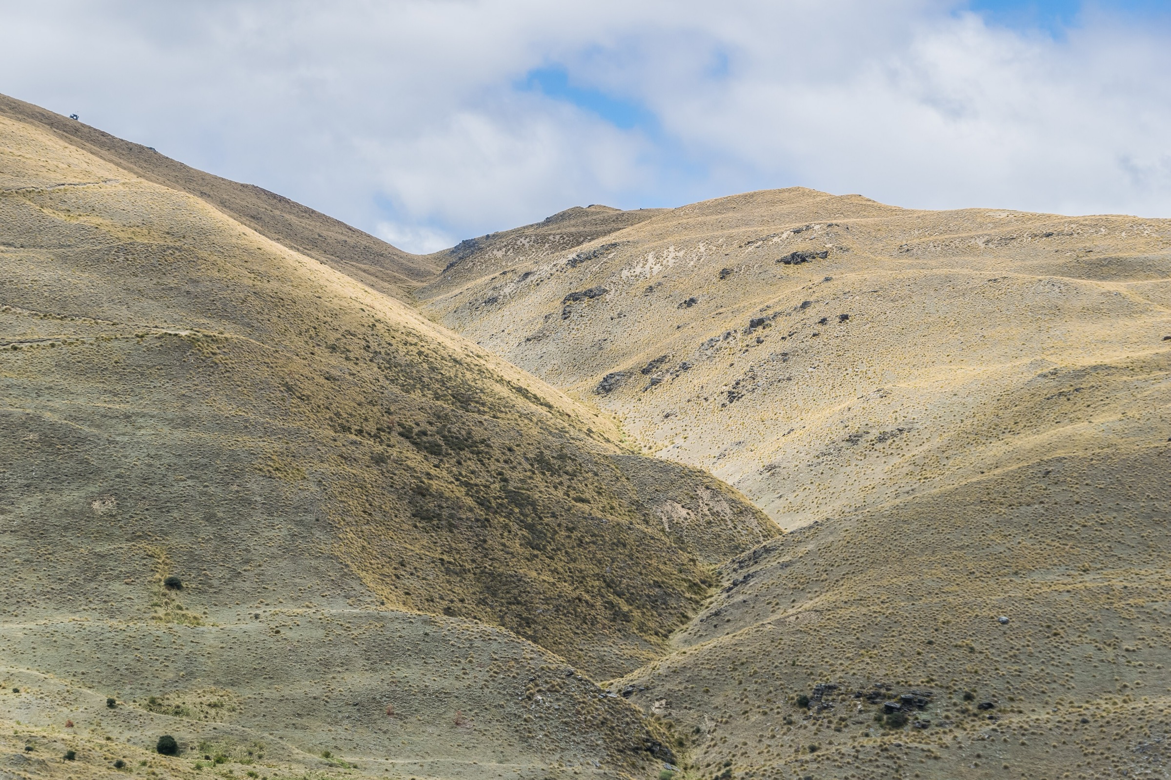 Hauts plateaux à tussock ouvert de la Pisa Conservation Area, Central Otago