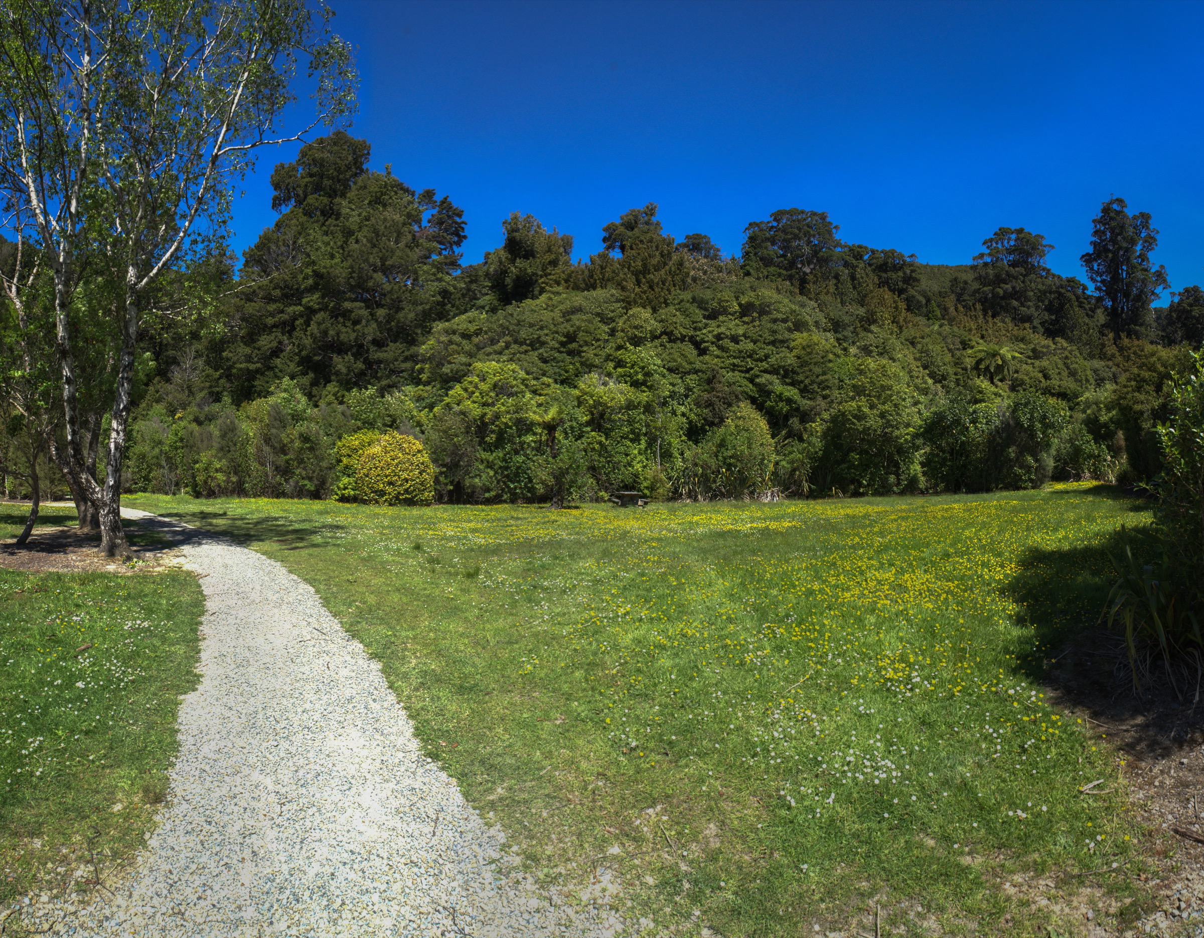 New Zealand — Northern Remutakas: essential day-hikes