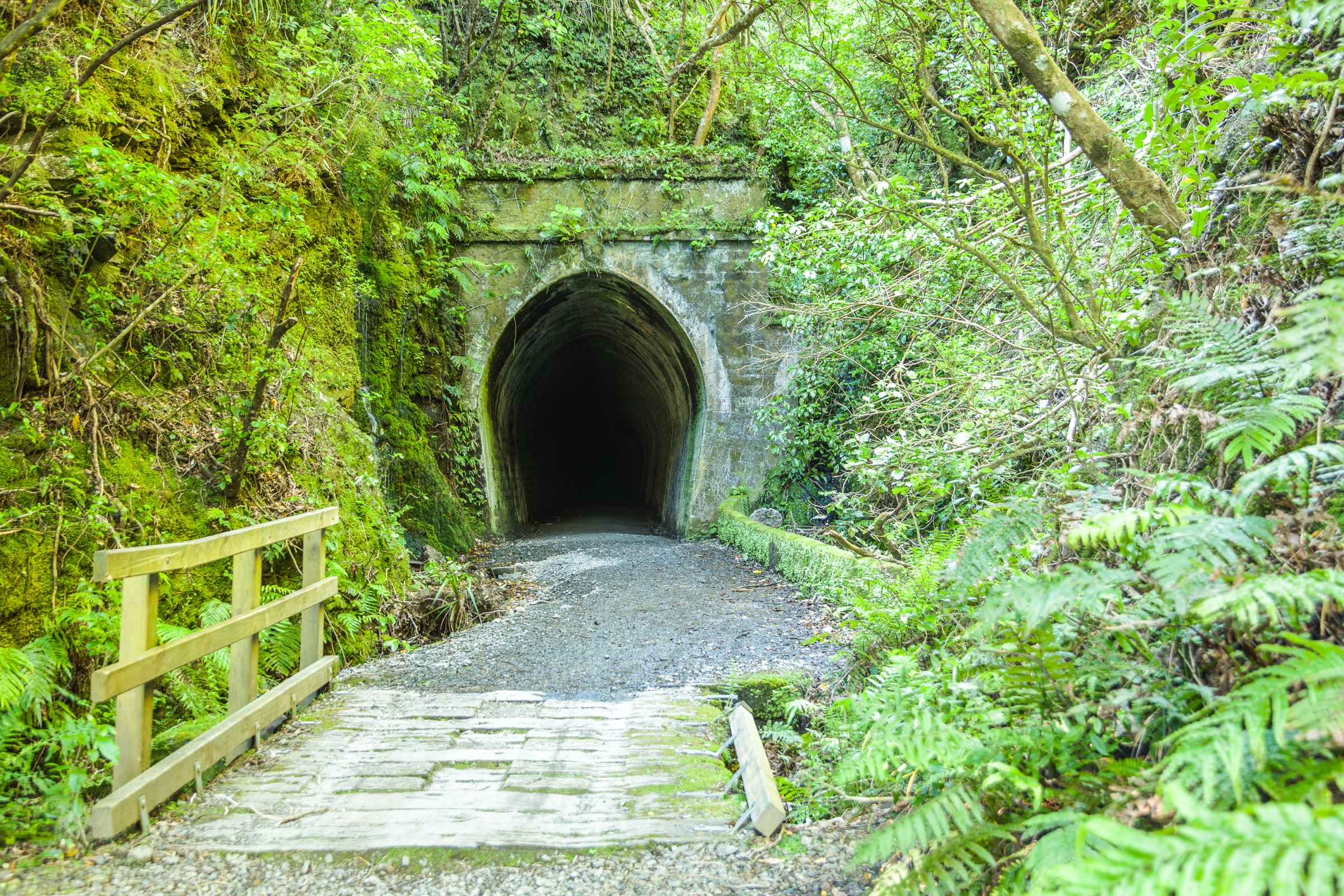 Summit Tunnel on the Rail Trail near Tunnel Gully in Pākuratahi Forest, Wellington Region, New Zealand