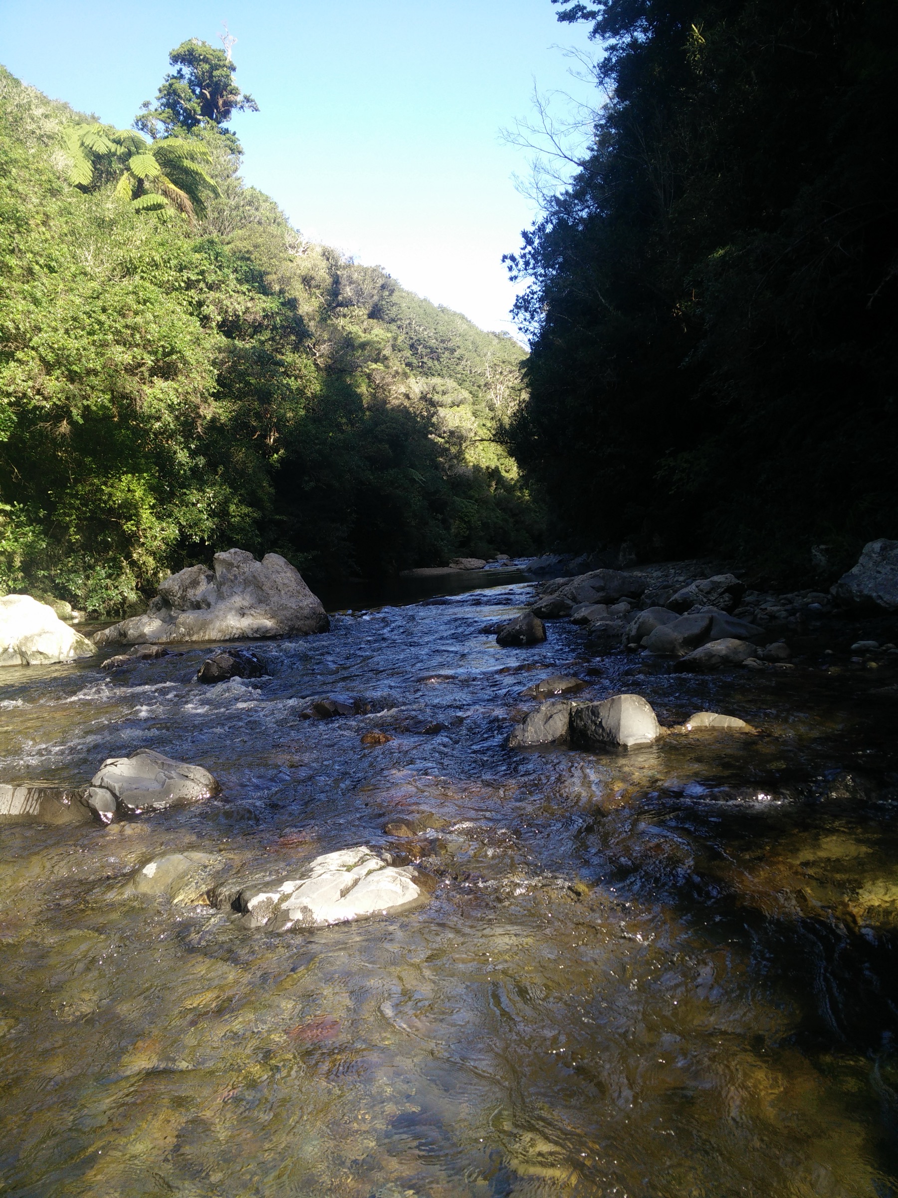 Hutt River in Kaitoke Regional Park near the Norbett Creek Loop, Wellington Region, New Zealand