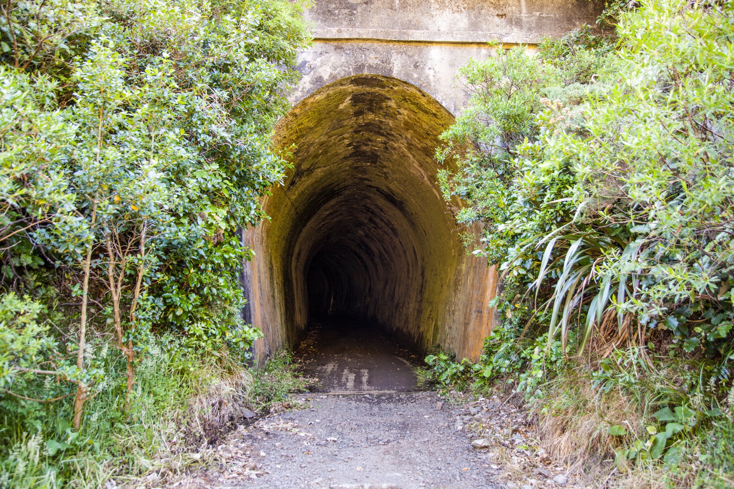 Siberia Tunnel on the Remutaka Rail Trail, Wellington Region, New Zealand