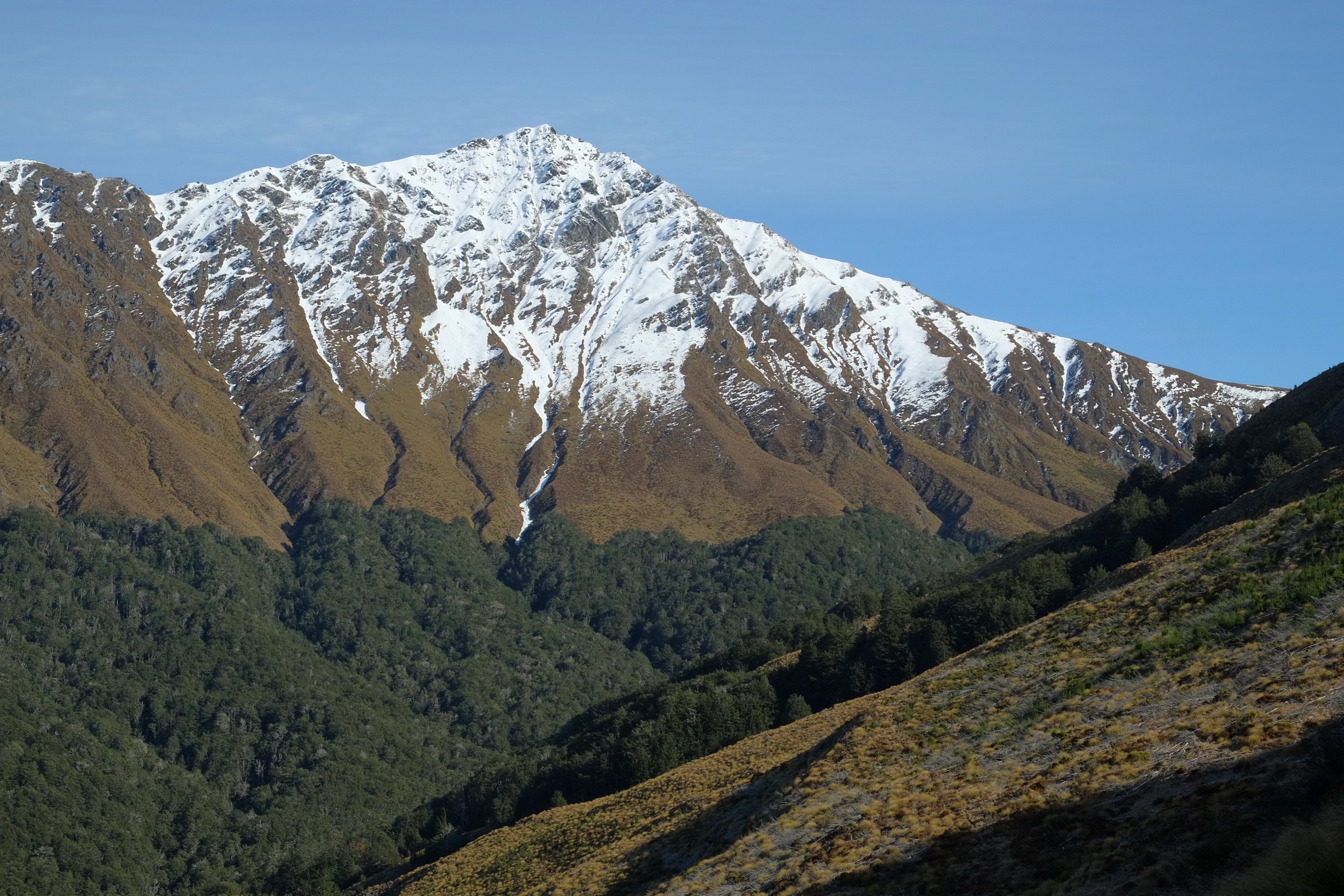 Ben Lomond saupoudré de neige depuis le début du Ben Lomond track
