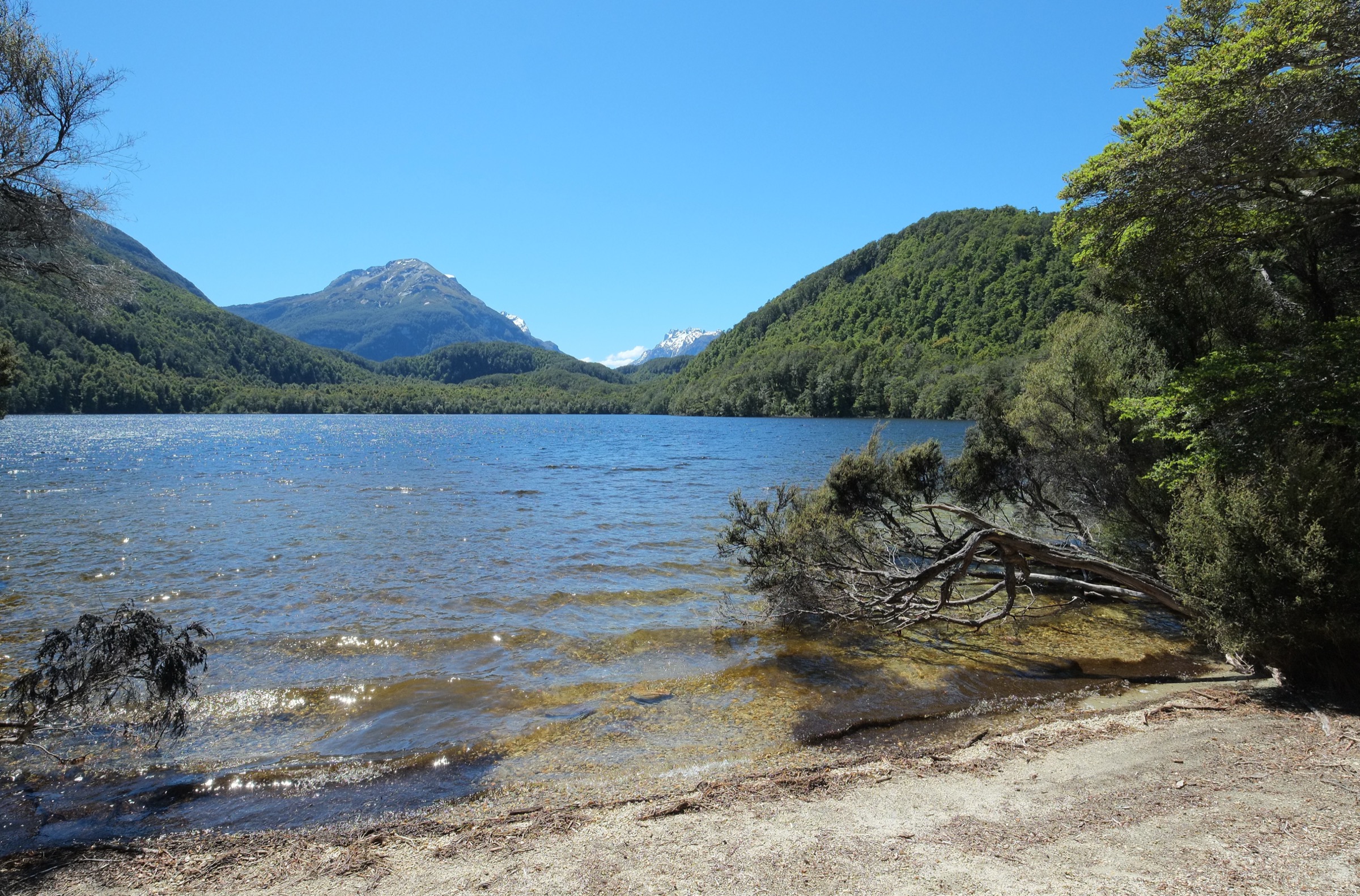 Petite plage sur la rive de Lake Sylvan, Mount Aspiring National Park, près de Glenorchy