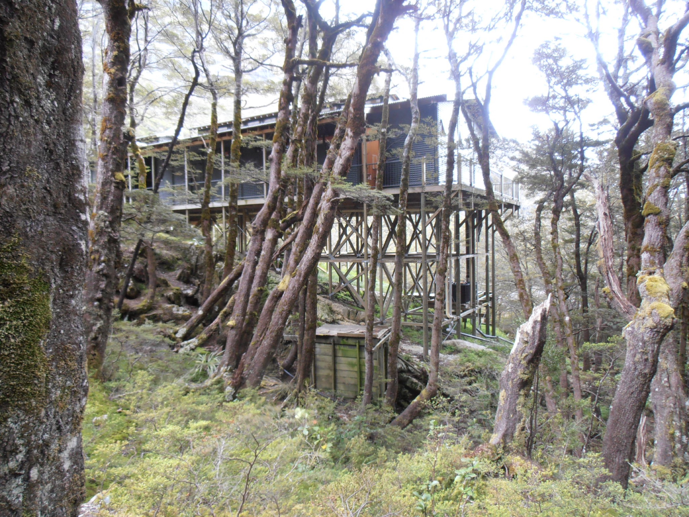 Routeburn Falls Hut près de la limite de forêt sur la Routeburn Track, Mount Aspiring National Park