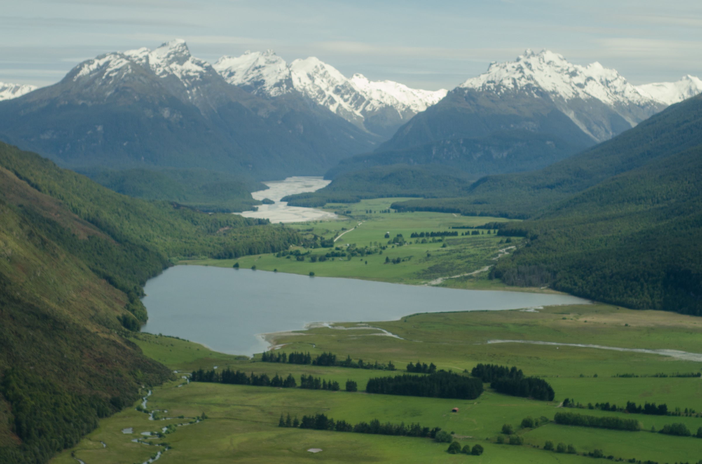 Paradise Paddock près de Glenorchy au pied des collines nord Richardson / d'orpaillage de scheelite