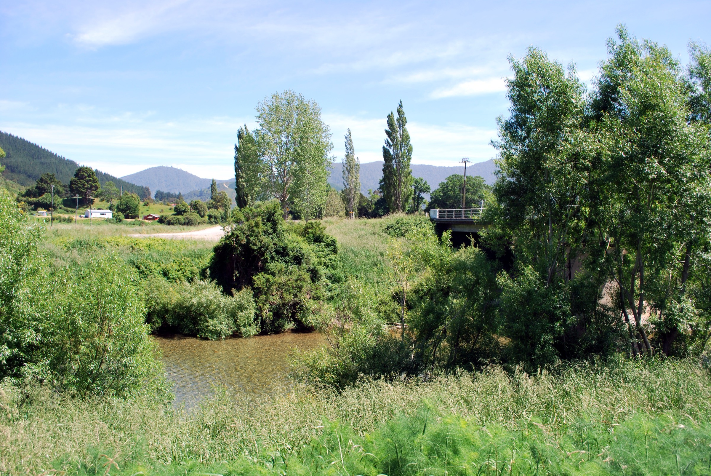Wakamarina River near Canvastown at the eastern approach corridor to the Quartz Creek and Mount Royal route, Marlborough, New Zealand