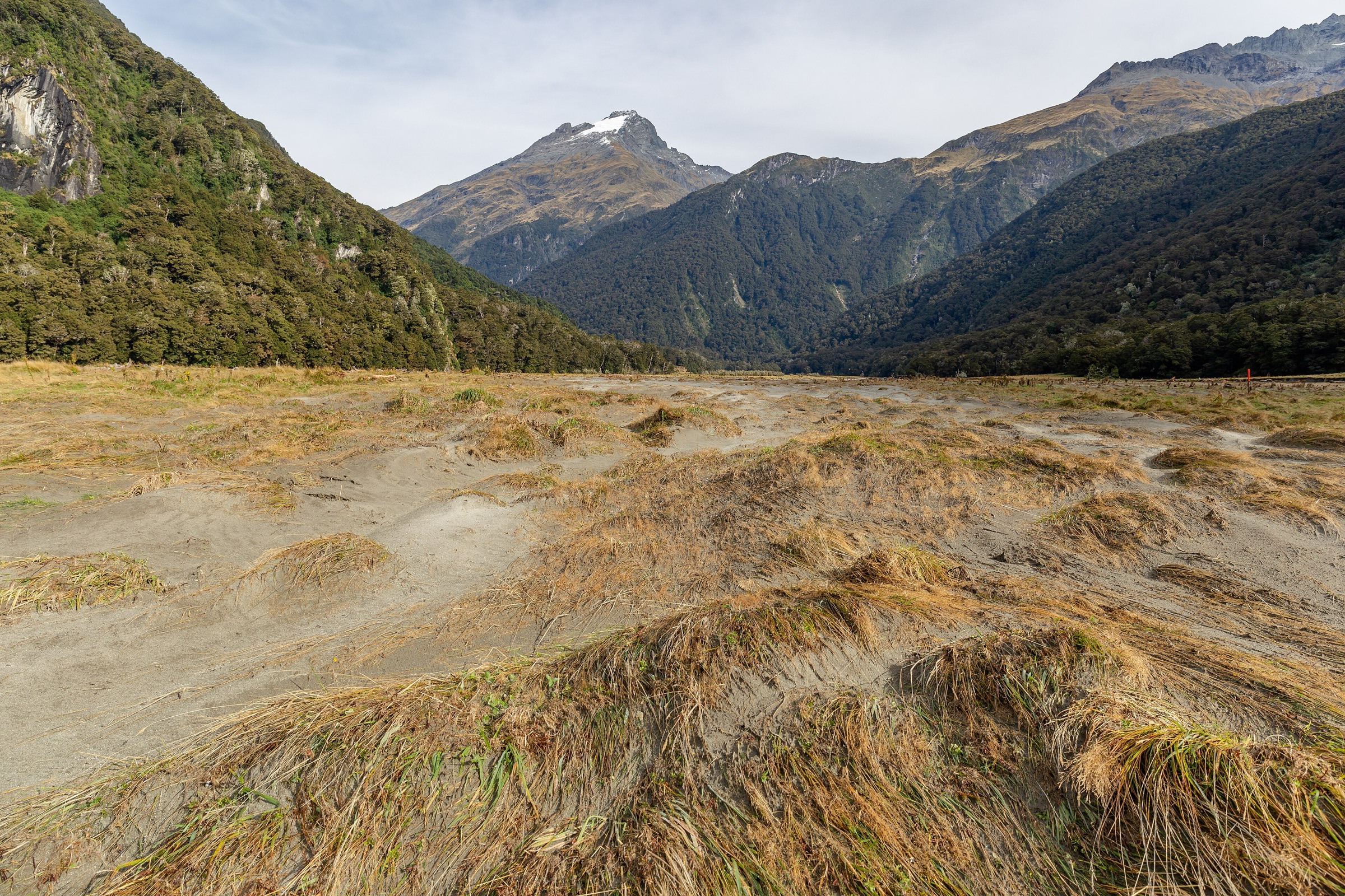 New Zealand — Southern Alps / Aspiring Sector: Wilkin Valley