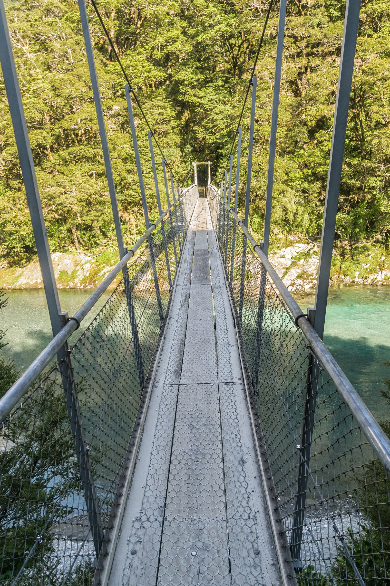 Passerelle au-dessus de la Makarora River