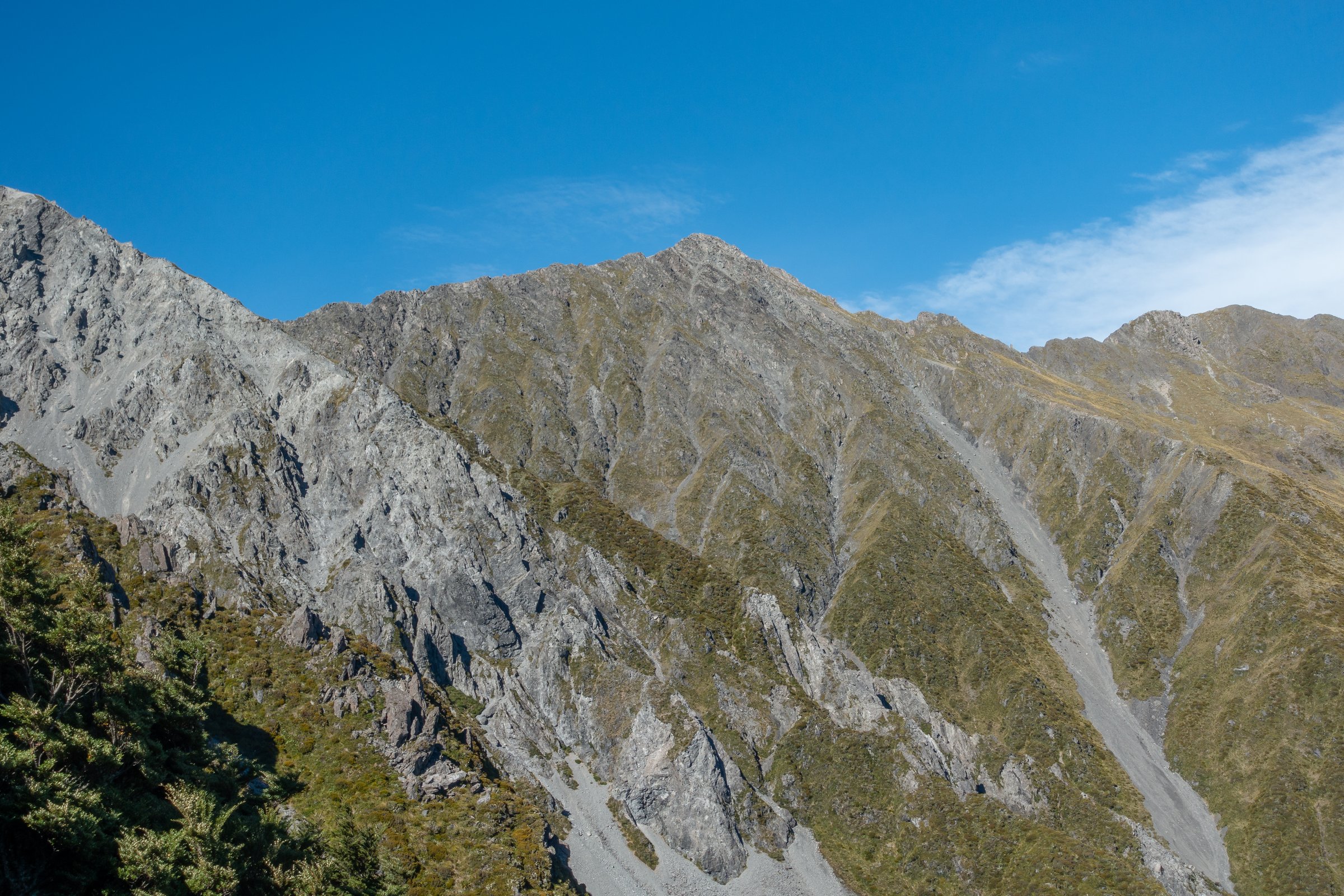 Mount Bealey, Arthur's Pass National Park