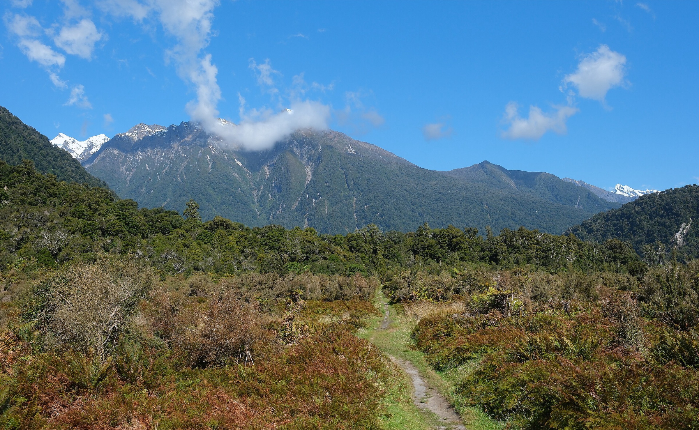 New Zealand — Southern Alps: Copland Valley