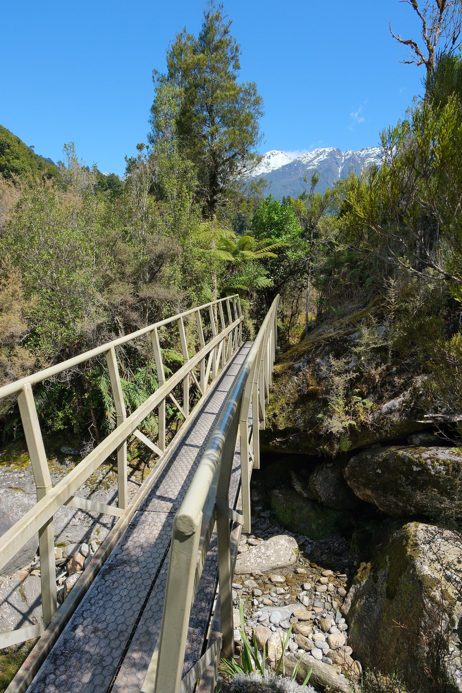 Bridge over Kōmarupeka Creek on the Copland Track