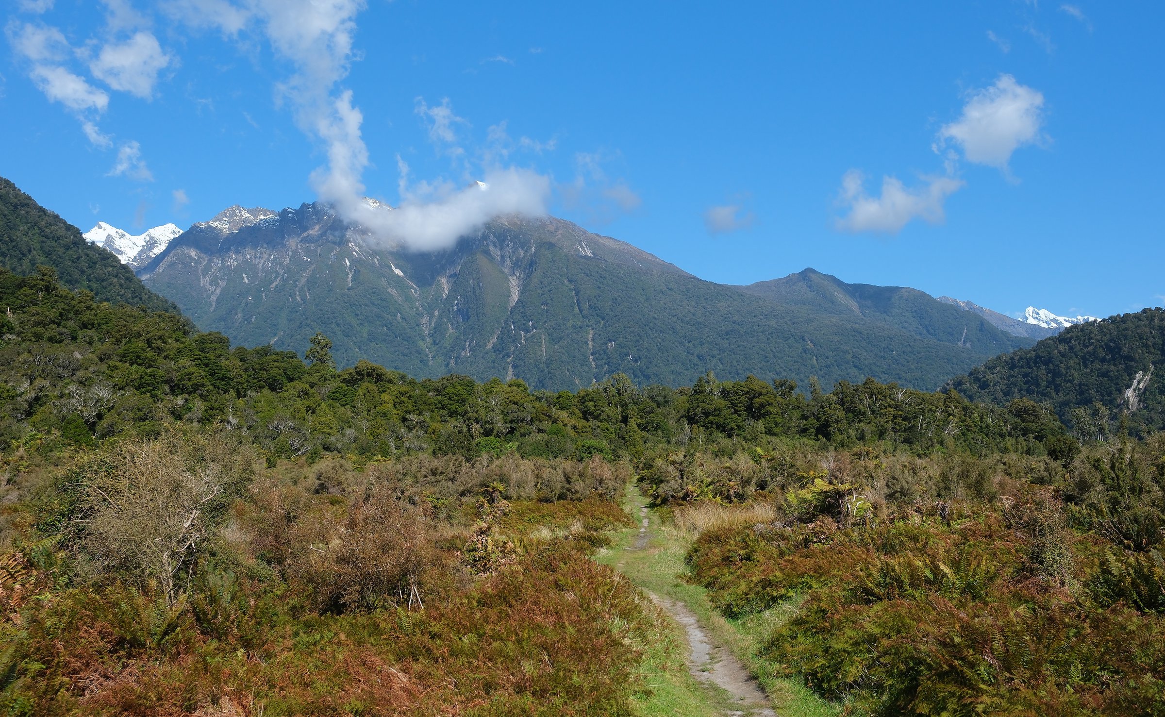 Copland Track out in the open towards Misty Peak