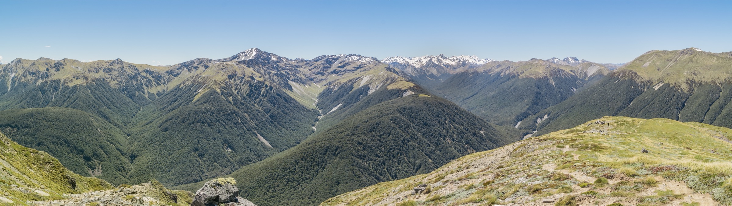 Vue panoramique de la Freyberg Range et de la crête des Spenser Mountains que Waiau Pass entaille, depuis Lewis Tops, Nouvelle-Zélande