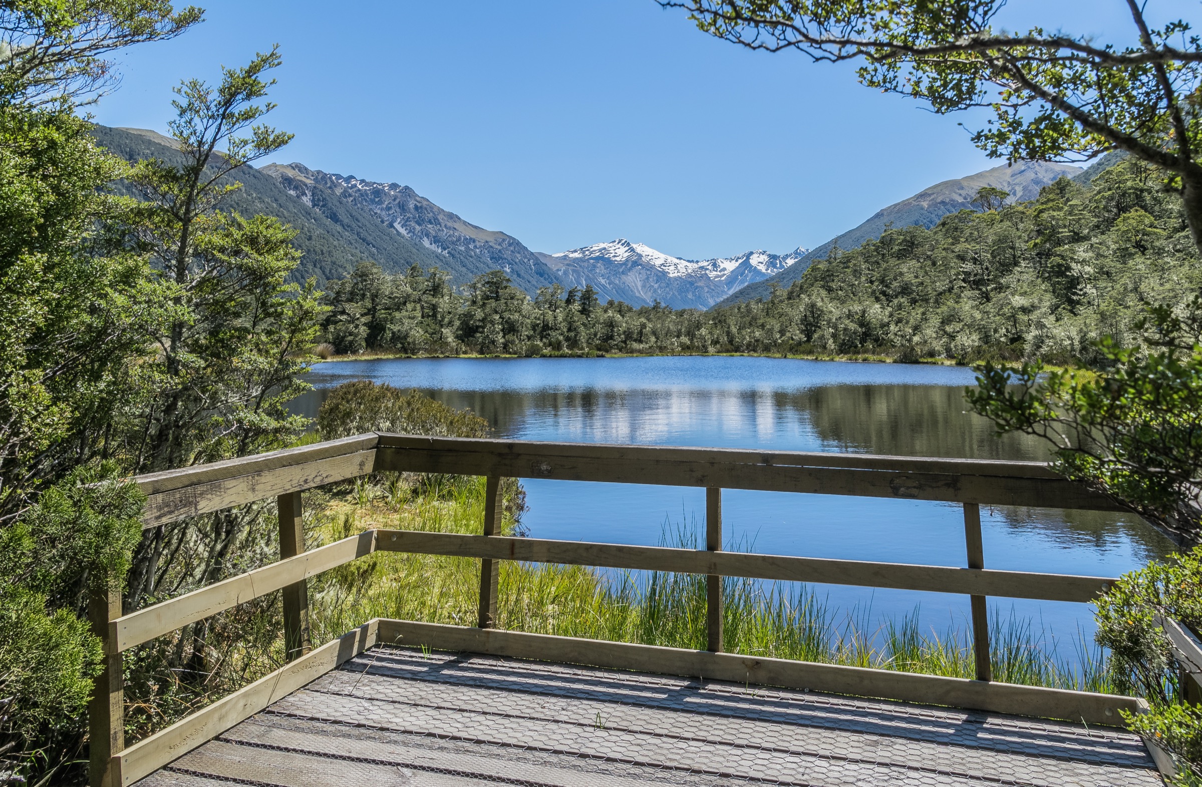 Tarn alpin au Lewis Pass avec tussock et forêt de hêtres alentour