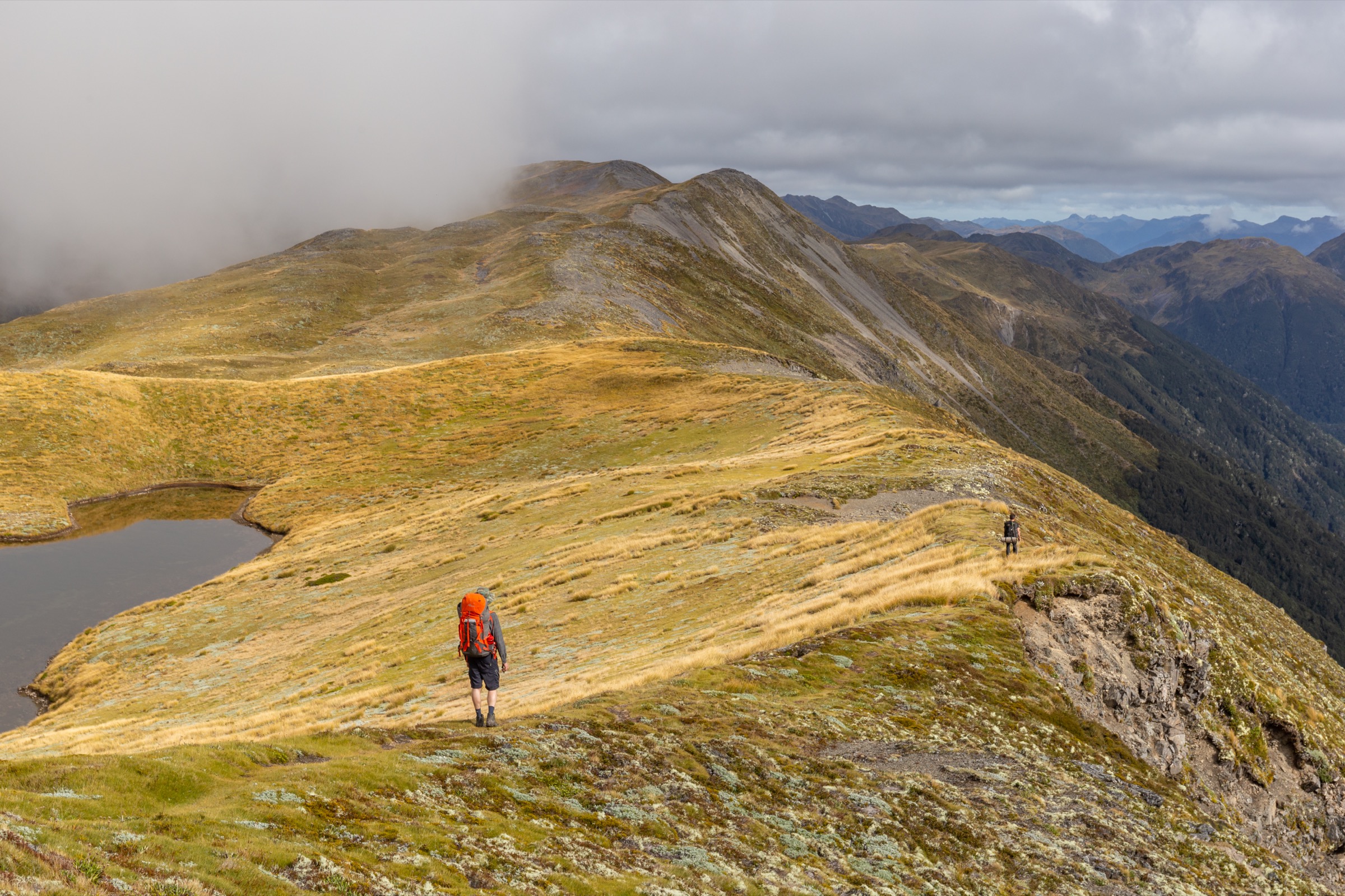 Nouvelle-Zélande — Secteur du Lewis Pass : randonnées journée