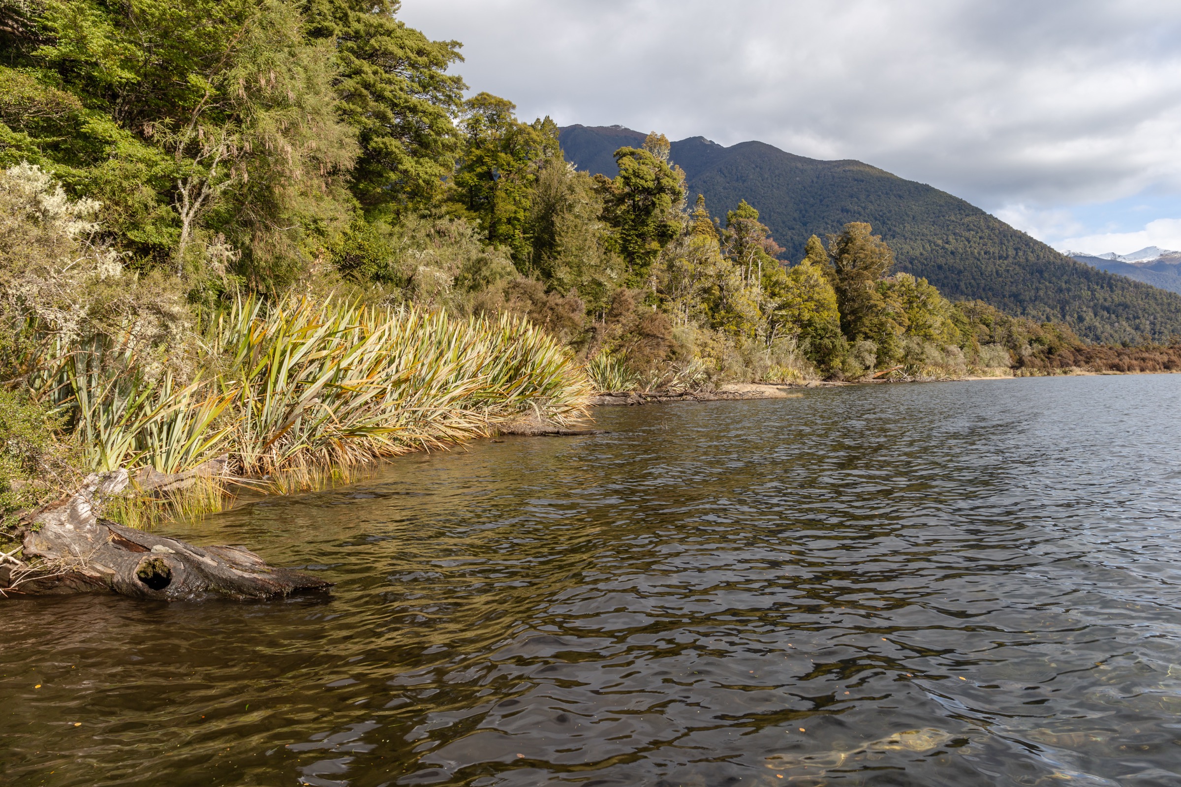 Sabine Hut on Lake Rotoroa, Nelson Lakes National Park, New Zealand