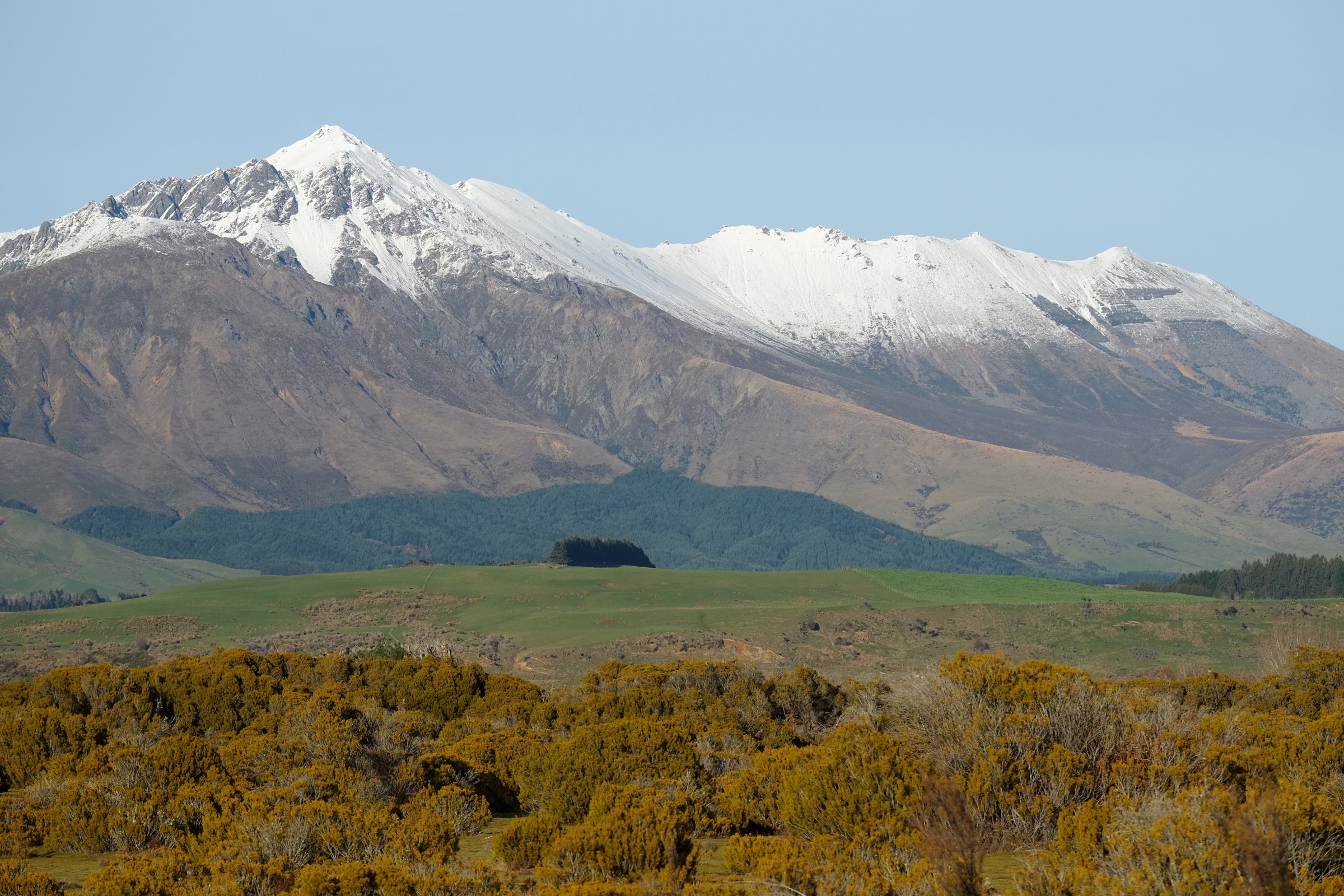 Vue depuis le tussock de la Wilderness Reserve vers Excelsor Peak dans les Takitimu Mountains, Southland, Nouvelle-Zélande
