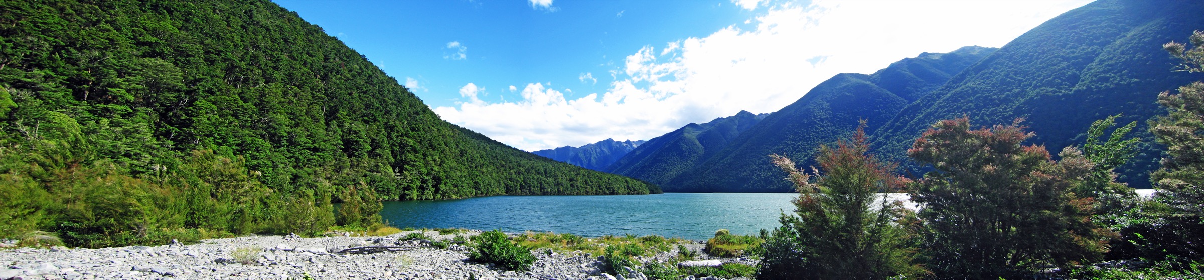 Panorama du lac Rotoiti dans le parc national des Nelson Lakes, Nouvelle-Zélande