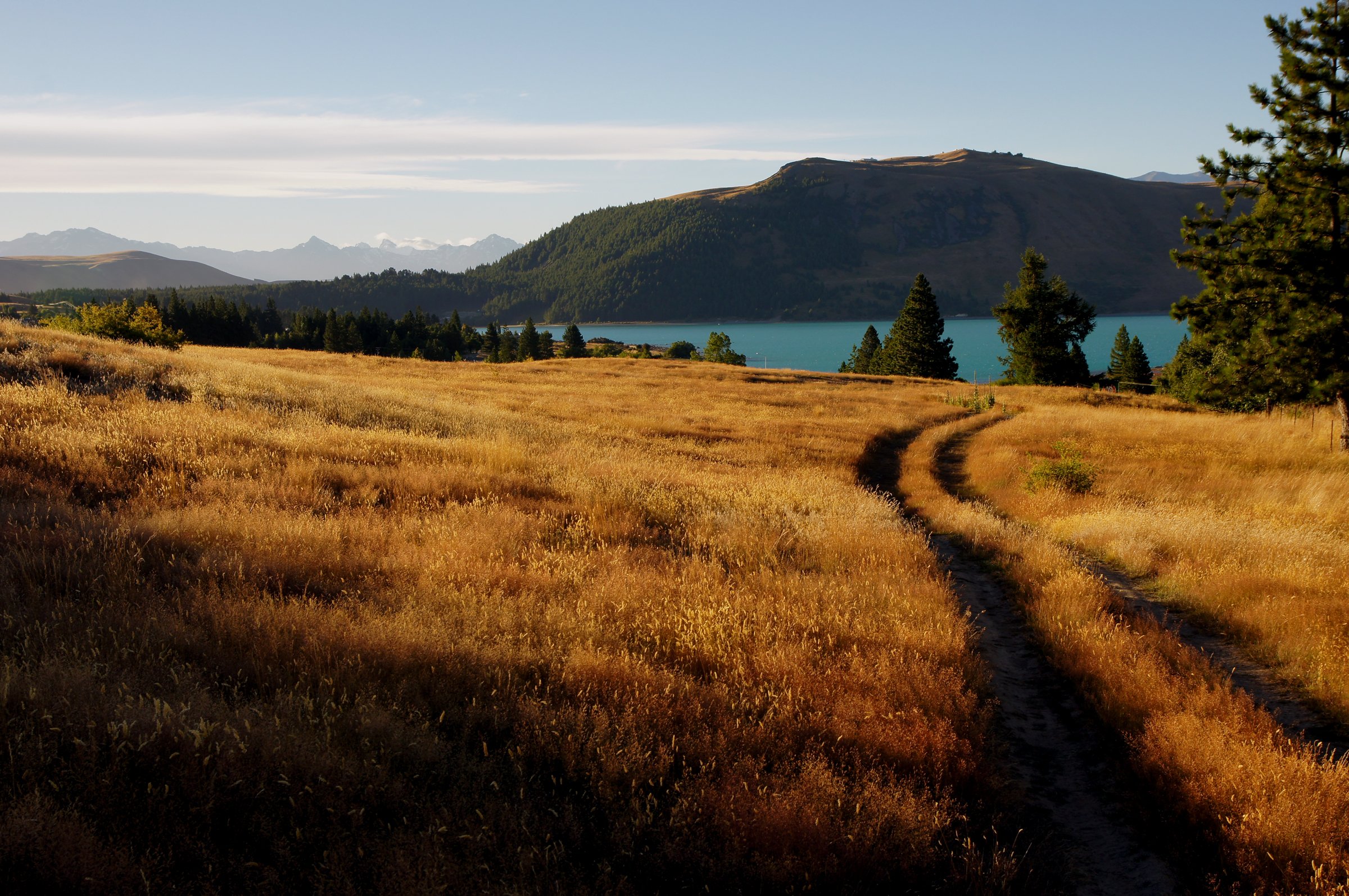 Vue aérienne du lac Tekapo