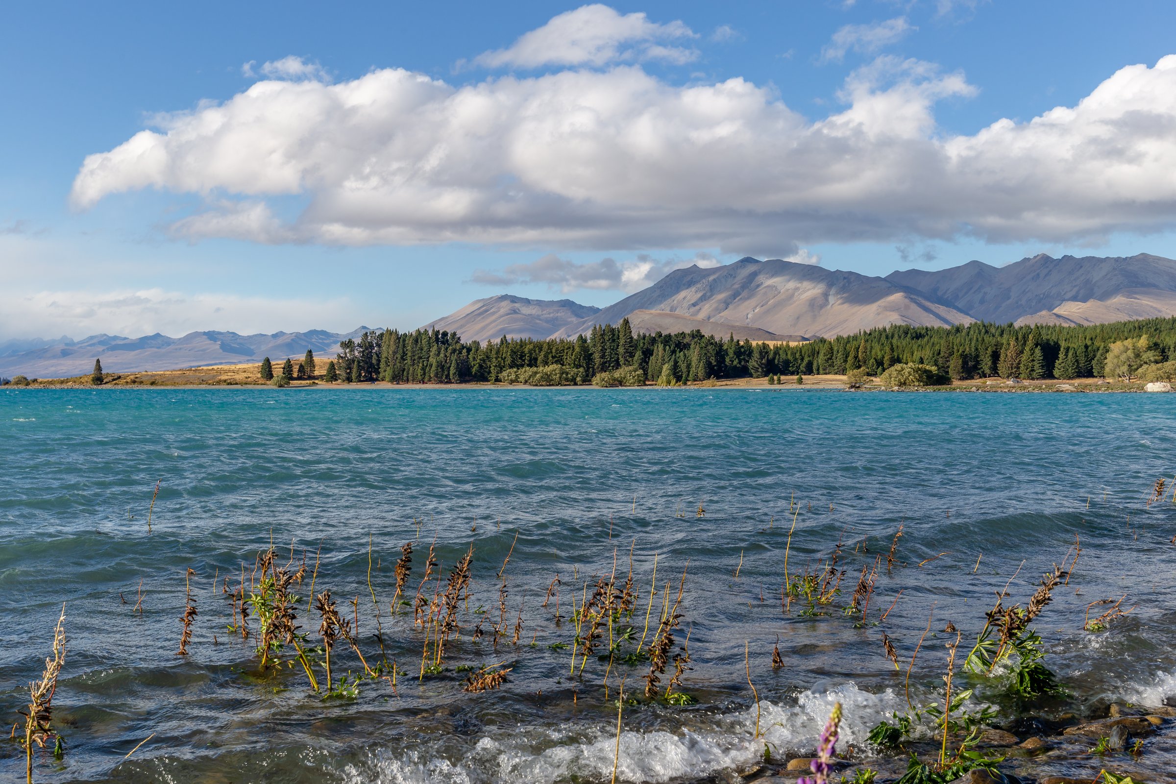 Lac Tekapo, bassin du Mackenzie, Canterbury