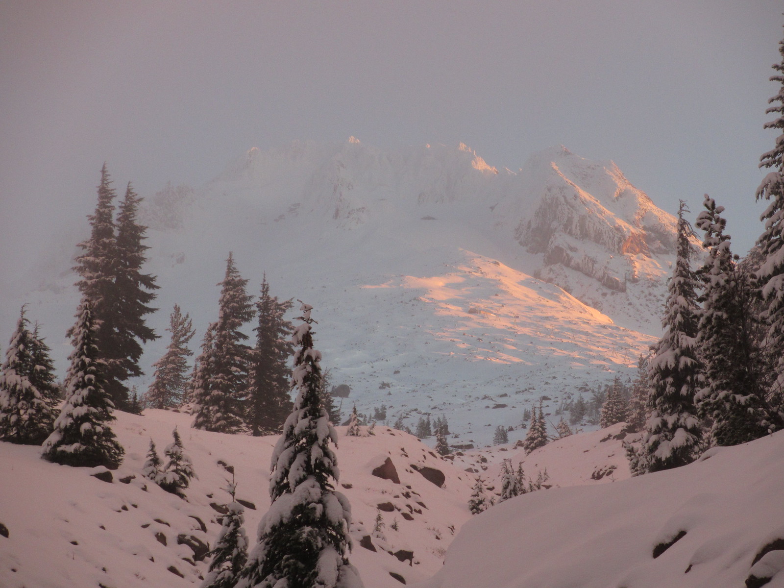 Mt. Hood captant la lumière du lever depuis le PCT au nord de Timberline