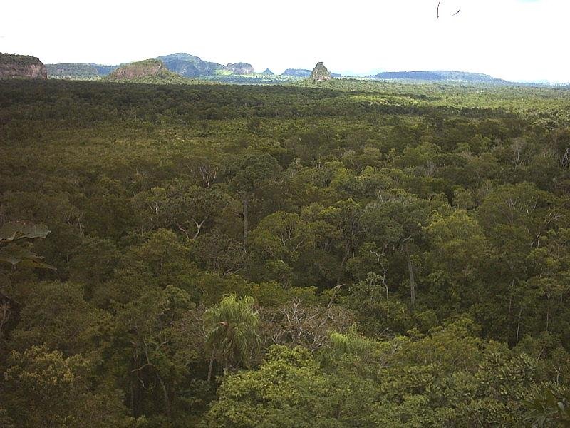 View from Cerro Muralla, Cerro Cora National Park