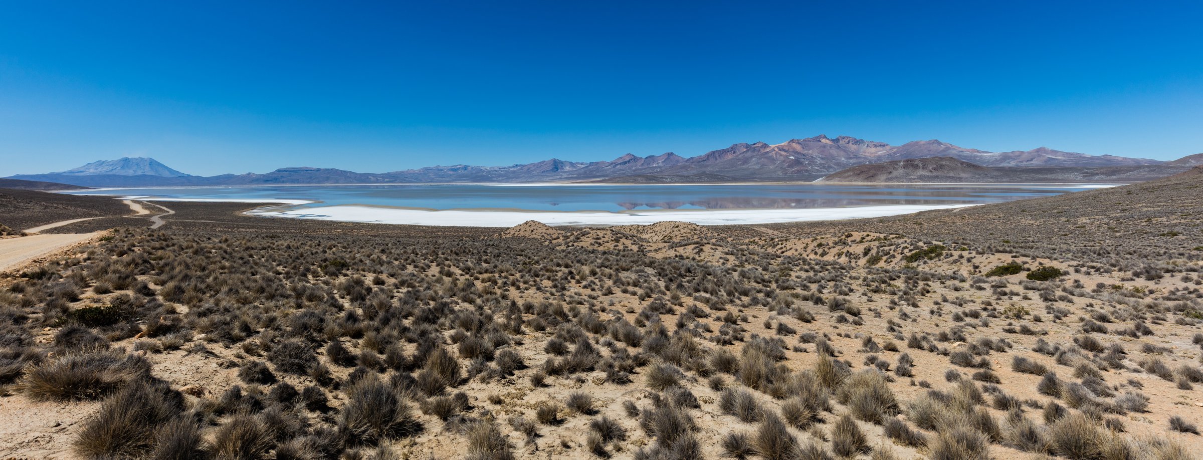 Laguna de Salinas, Arequipa, Pérou