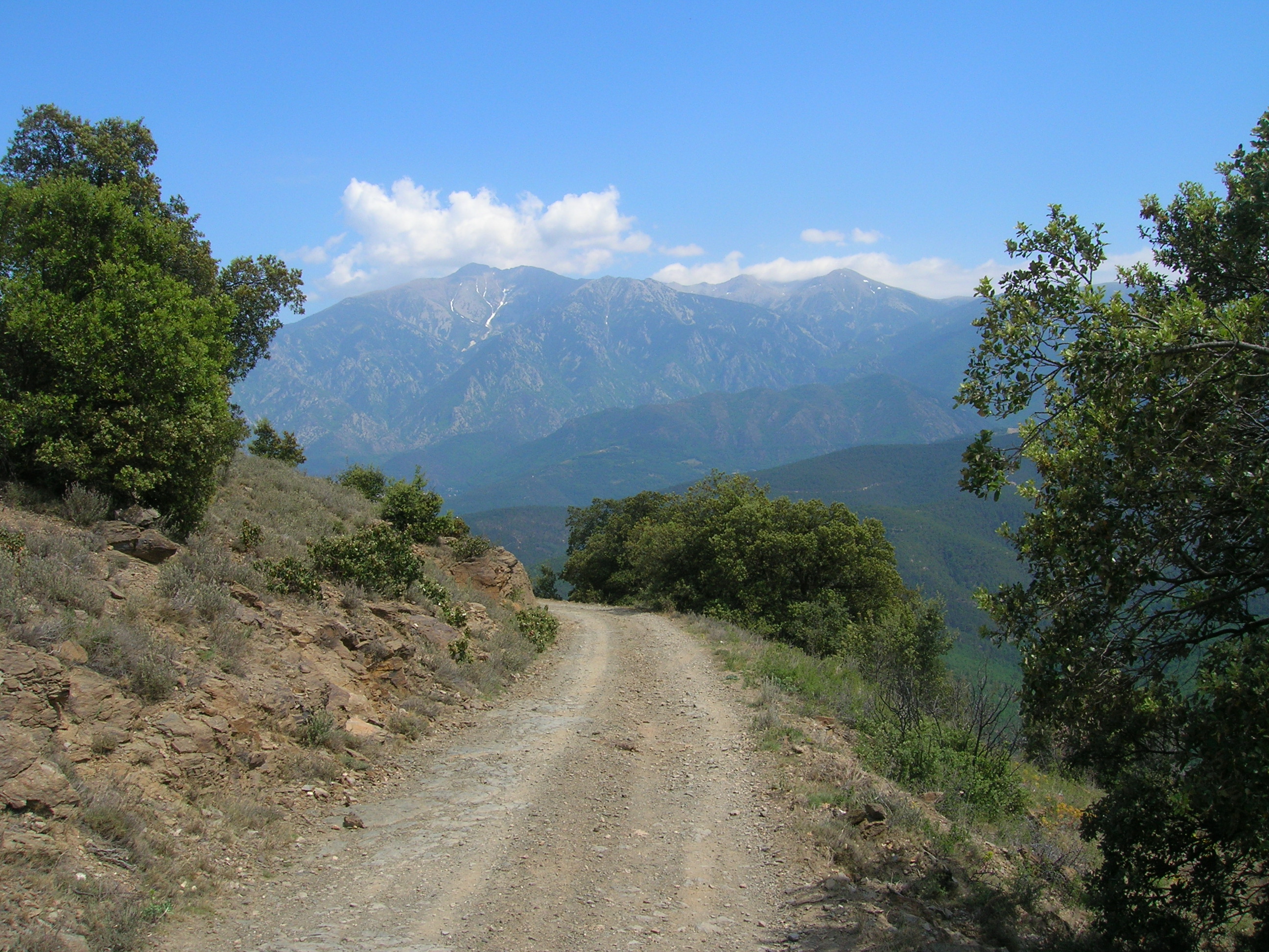 Le Canigou