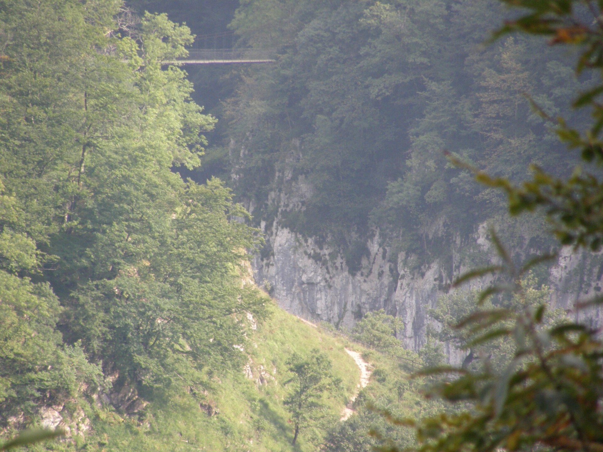 Passerelle d'Holzarte au-dessus de la gorge d'Olhadübi