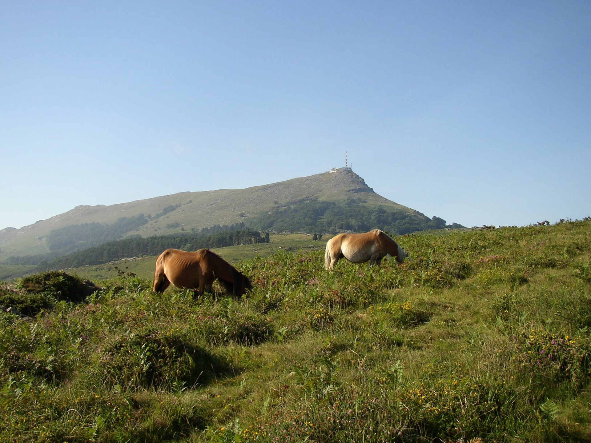 Crête sommitale de La Rhune / Larrun