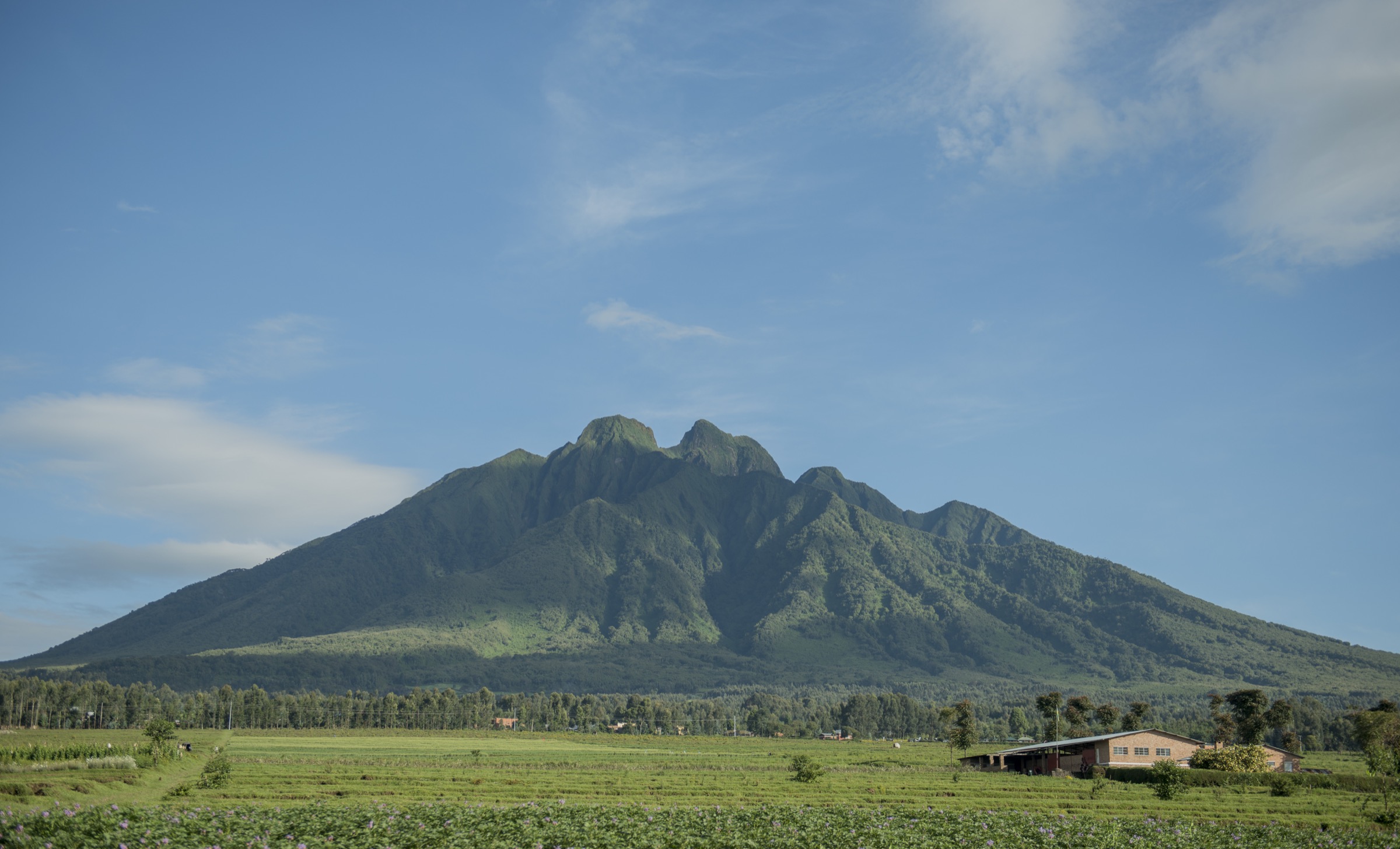 Rwanda / Uganda / DRC — Virunga Mountains: Essential Day-Hikes
